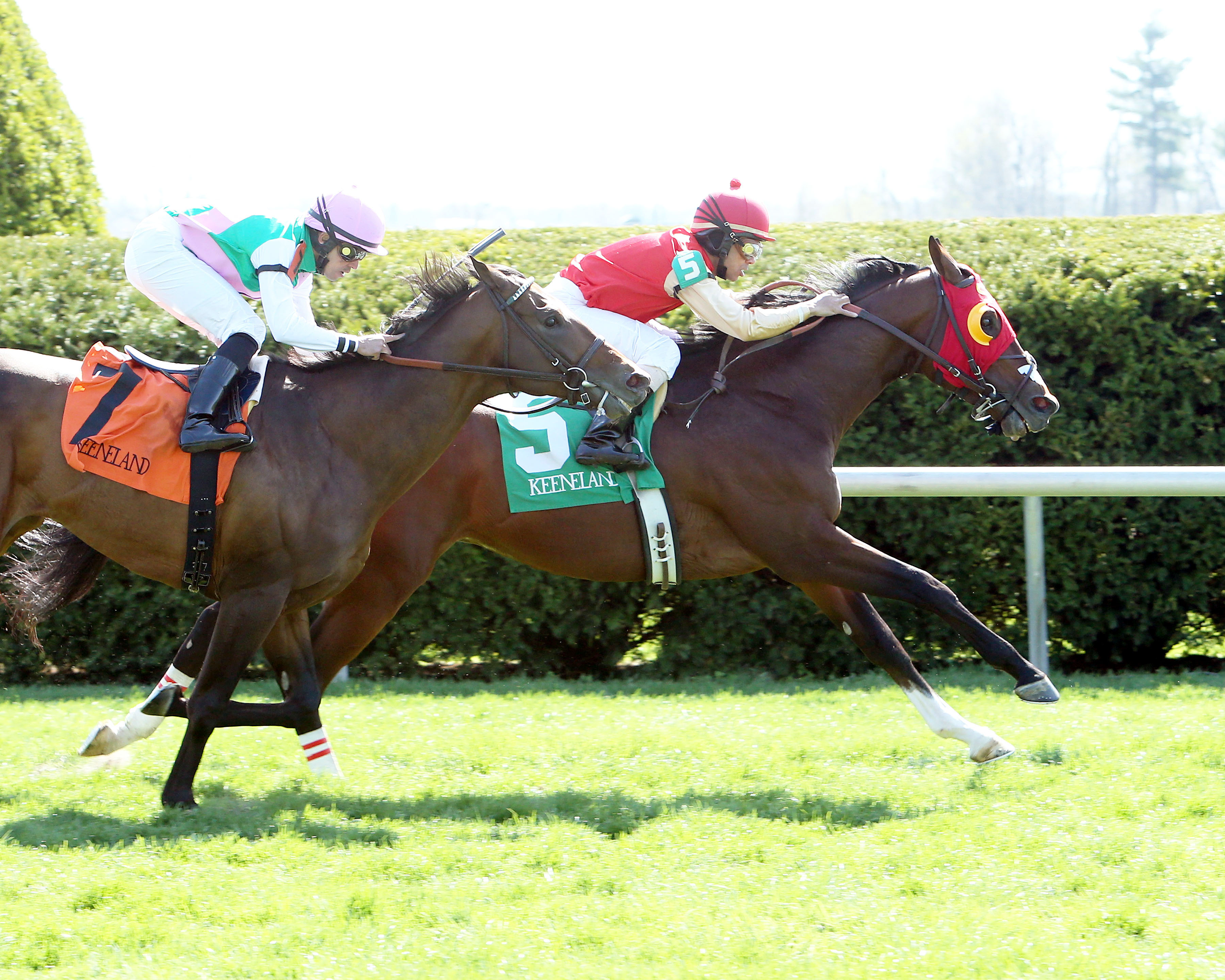 Kalamos loses to His Race to Win in an allowance