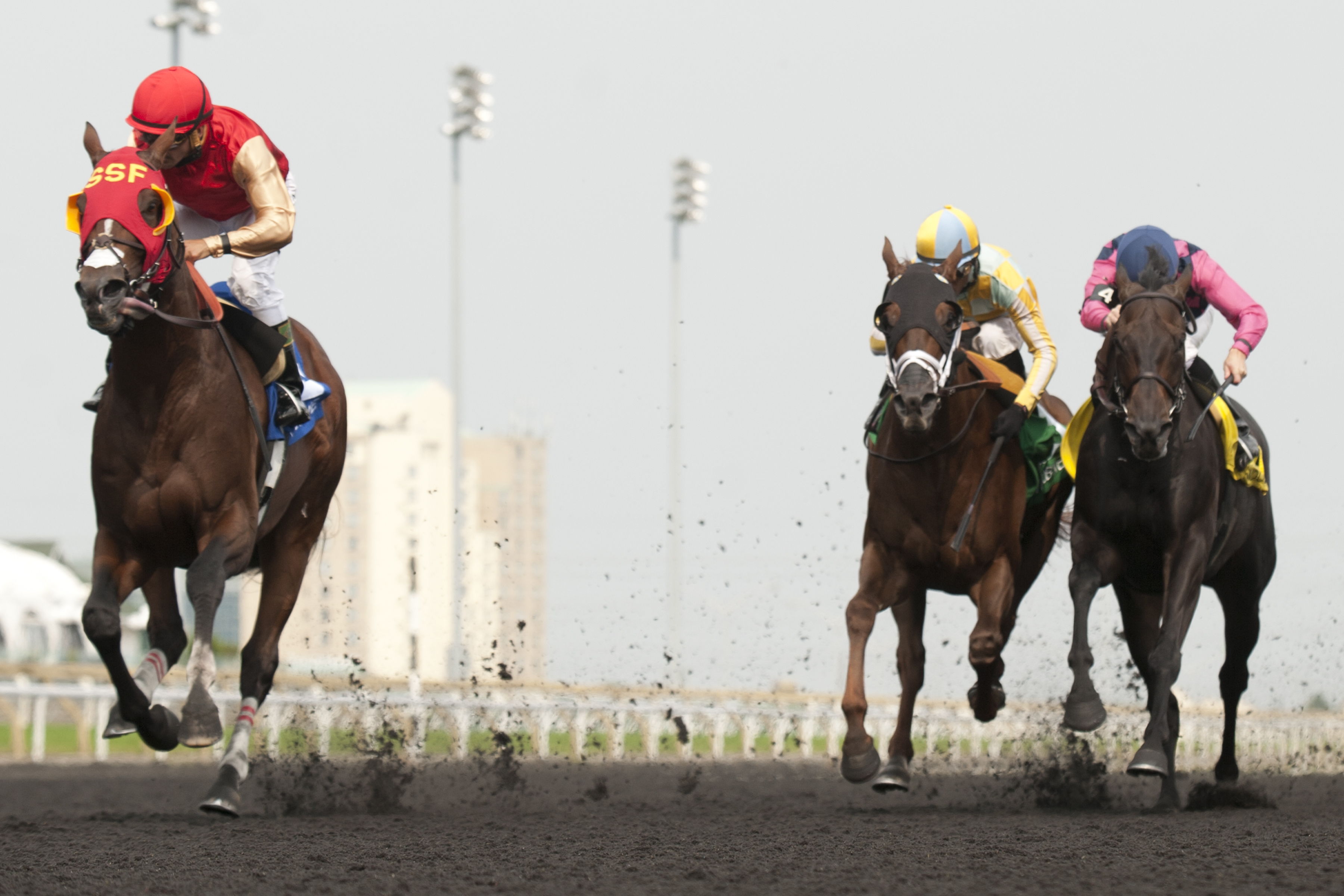 His Race to Win 8-2-2014