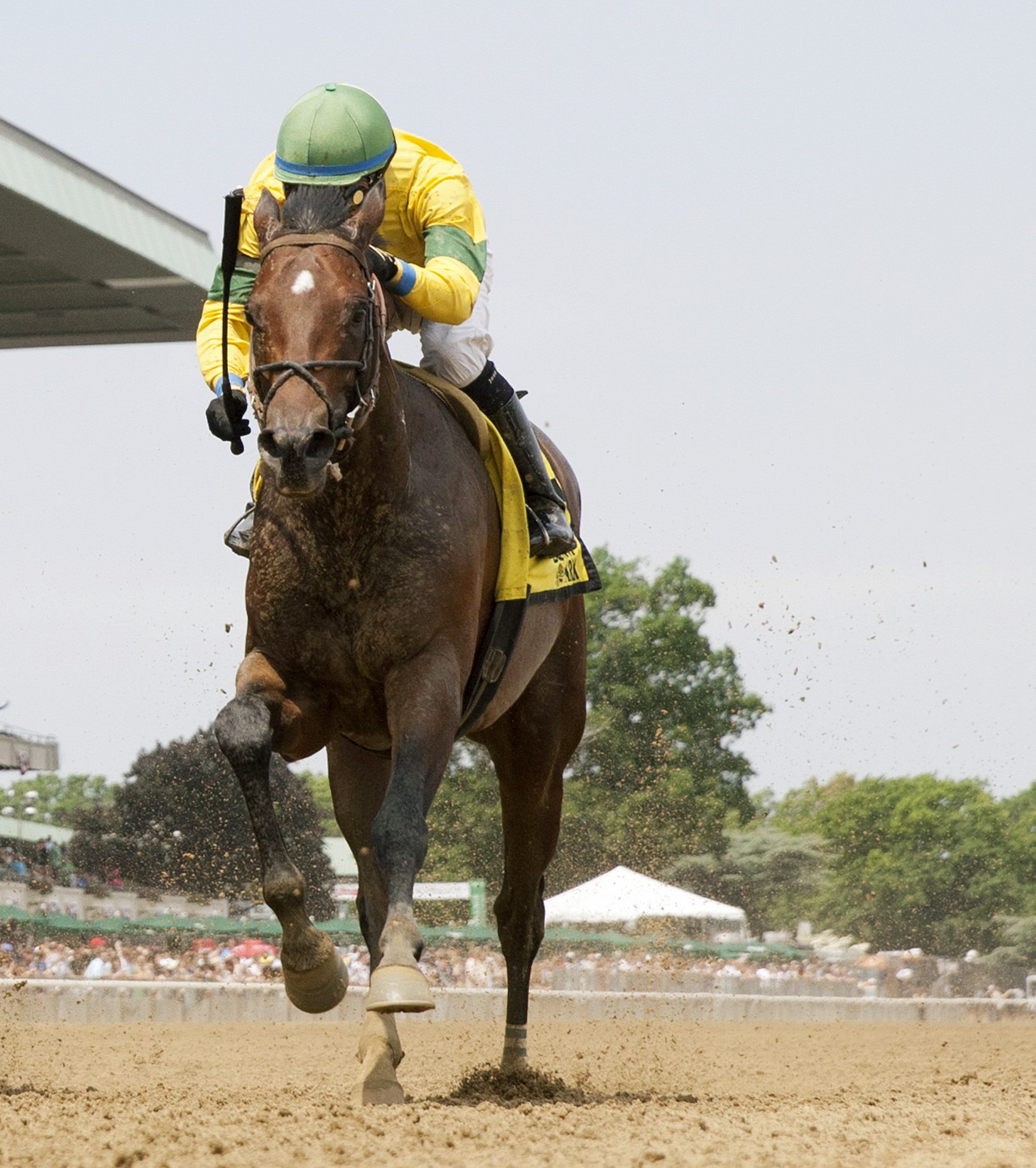 Hit It Once More finishes fourth in the EasyGoer Stakes