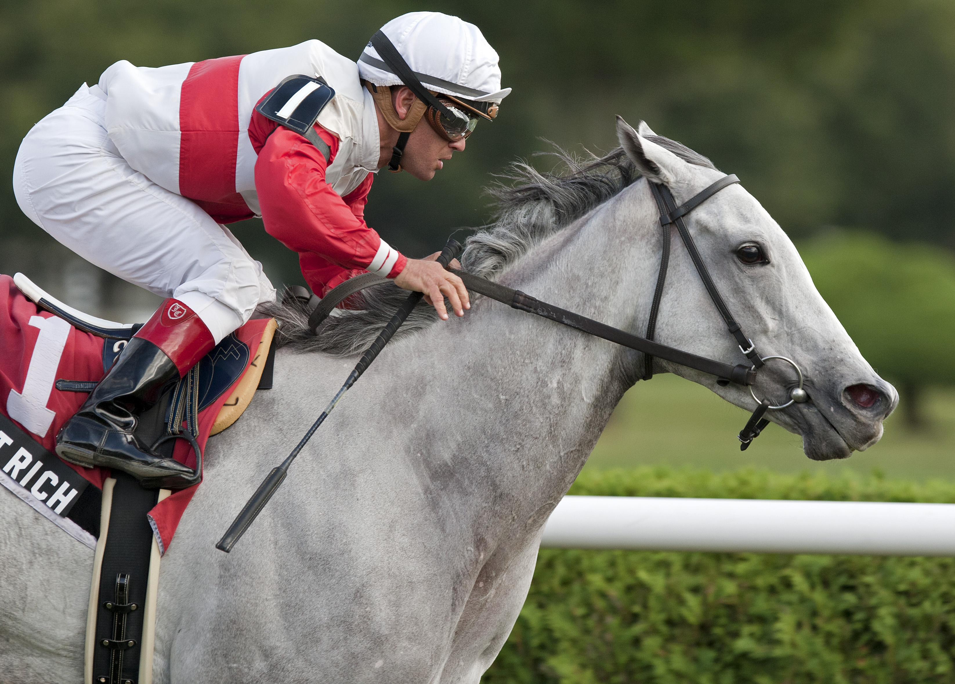 Hit It Rich/Glen Falss Stakes