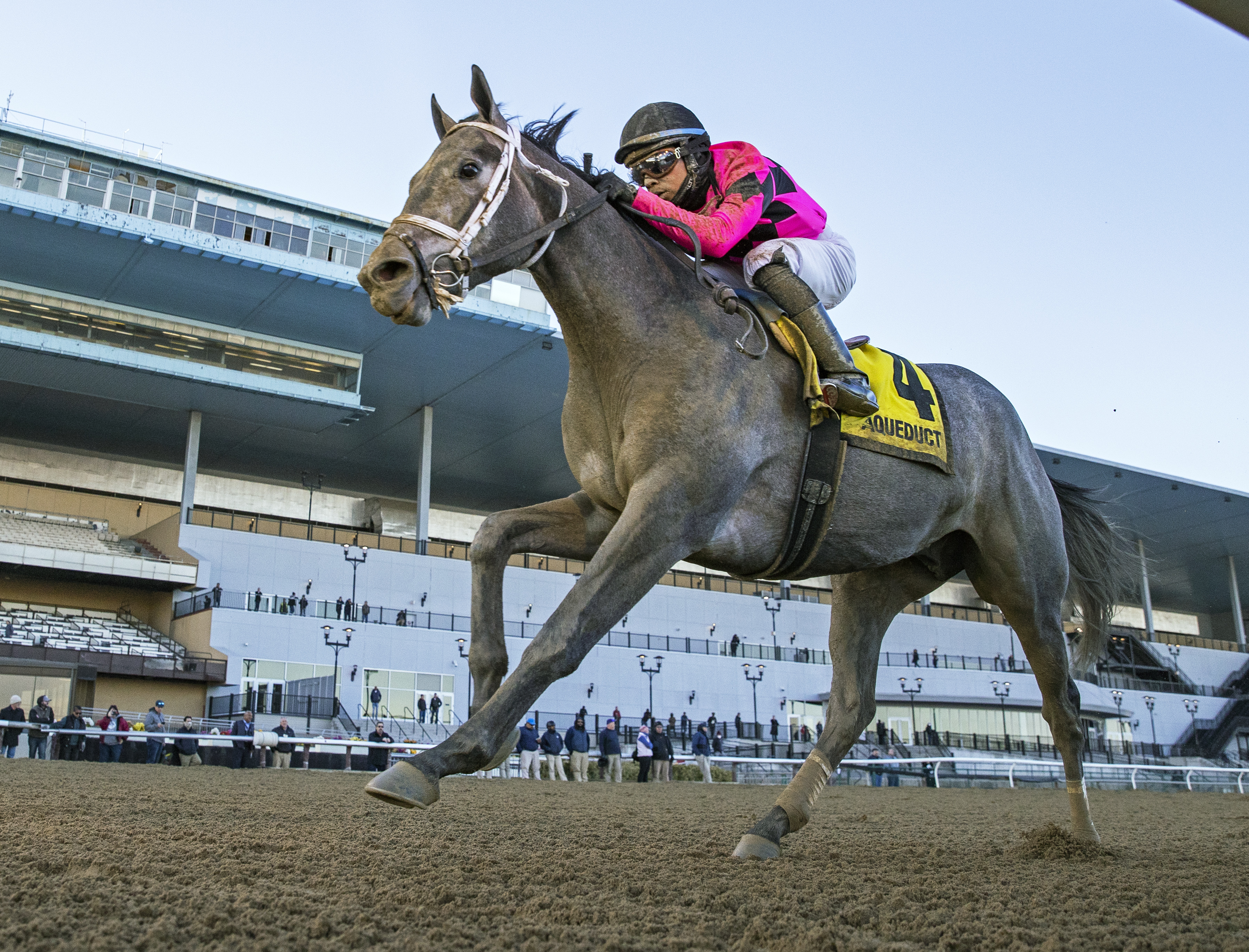 Kentucky Derby pedigree profile: Honor Marie