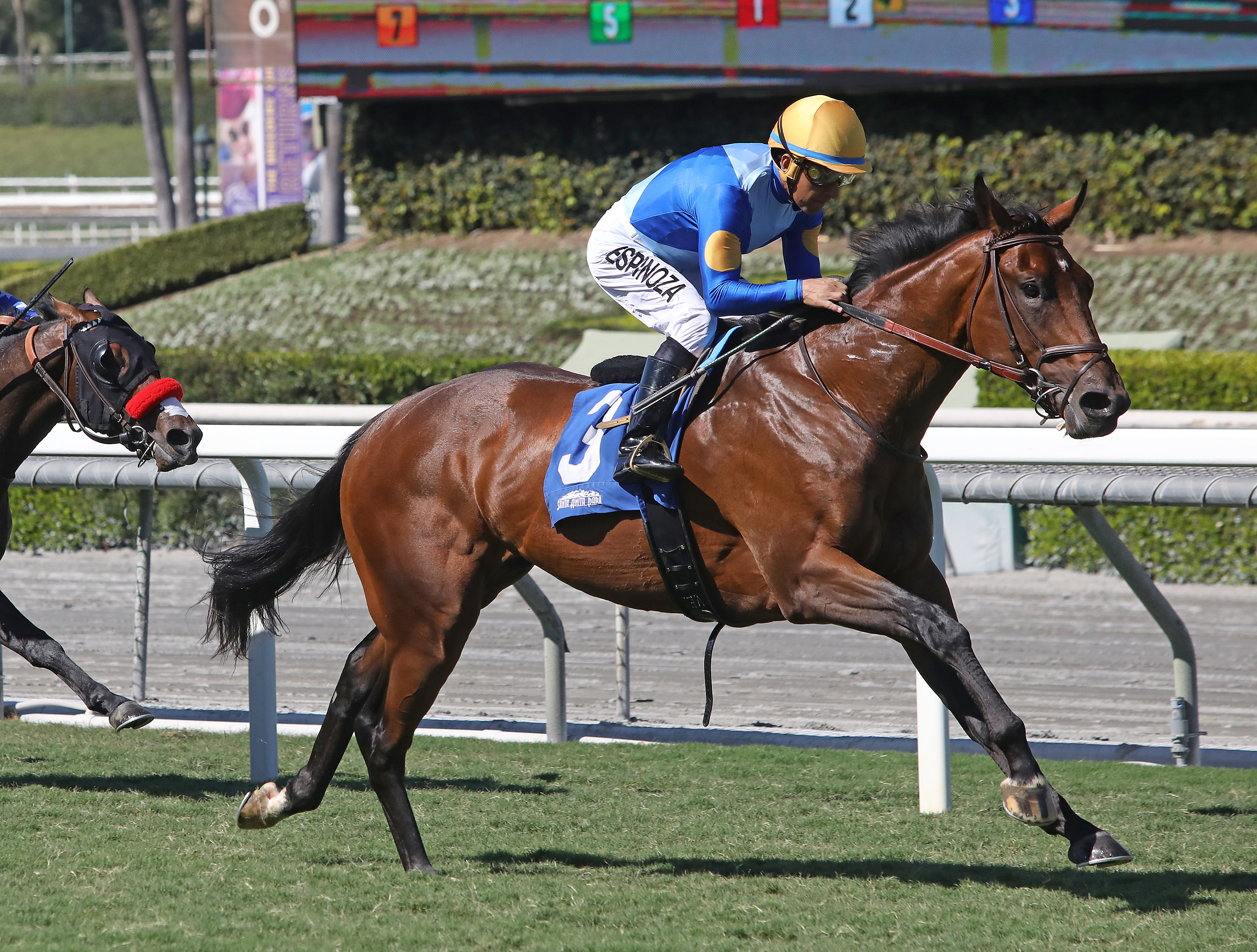 Hit the Road wins the 2019 Zuma Beach Stakes