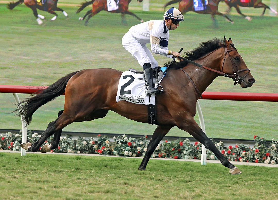 Hit the Road finishes third in the 2021 Del Mar Mile at Del Mar
