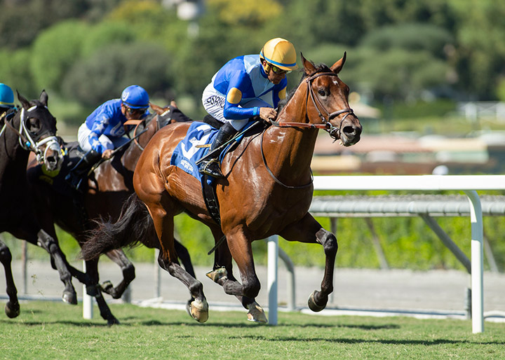 Hit the Road wins the 2019 Zuma Beach Stakes at Santa Anita