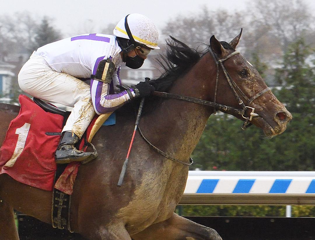 Hit the Woah wins a Nov. 13 maiden at Aqueduct Racetrack