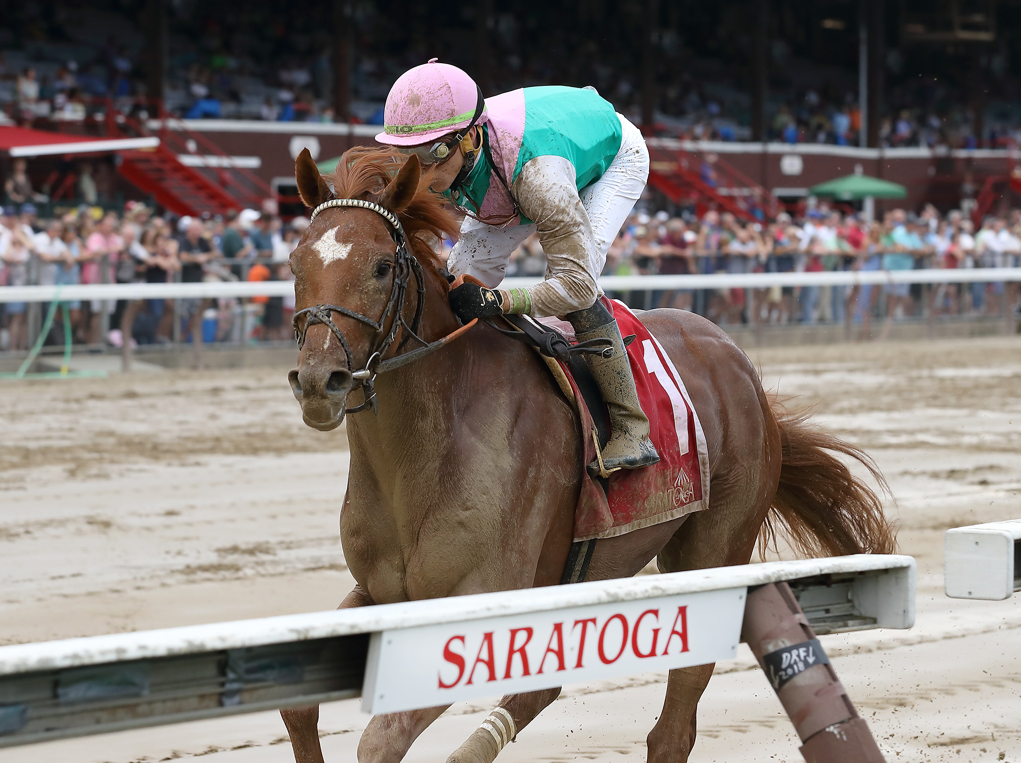 Hofburg wins the 2018 Curlin Stakes