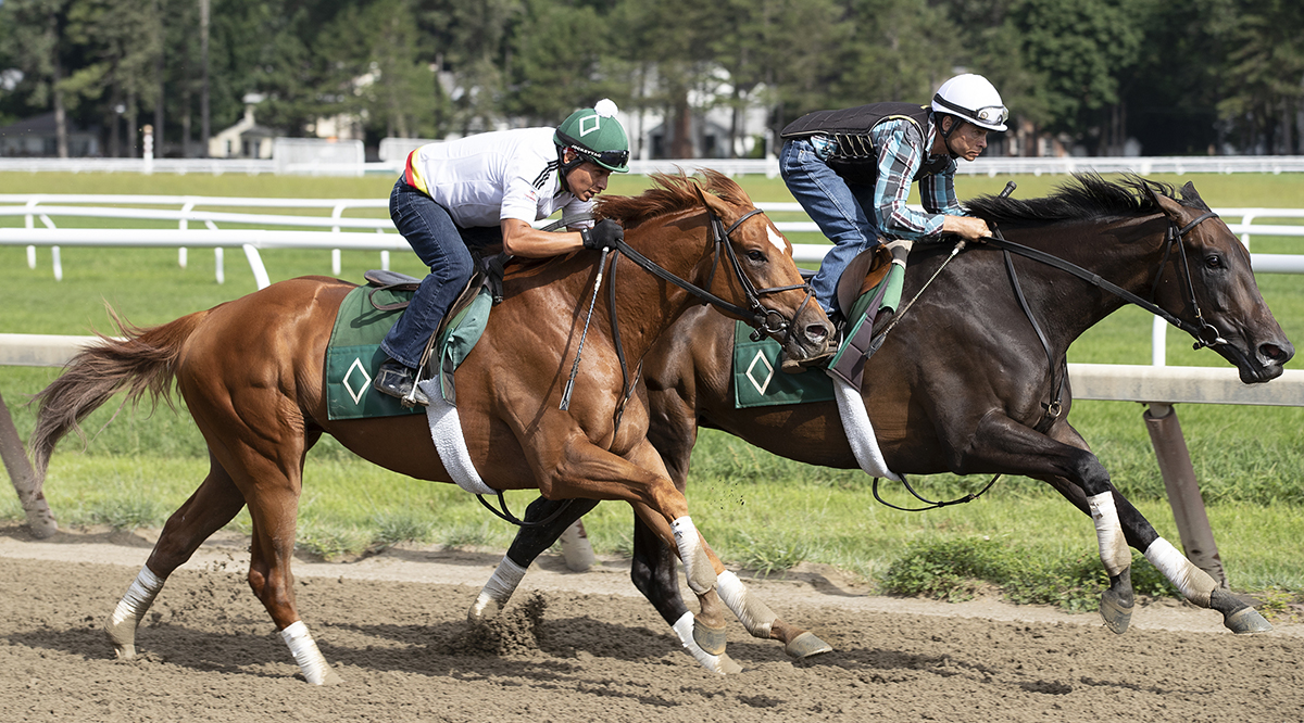 Hofburg and Elate train at Saratoga on Aug. 12