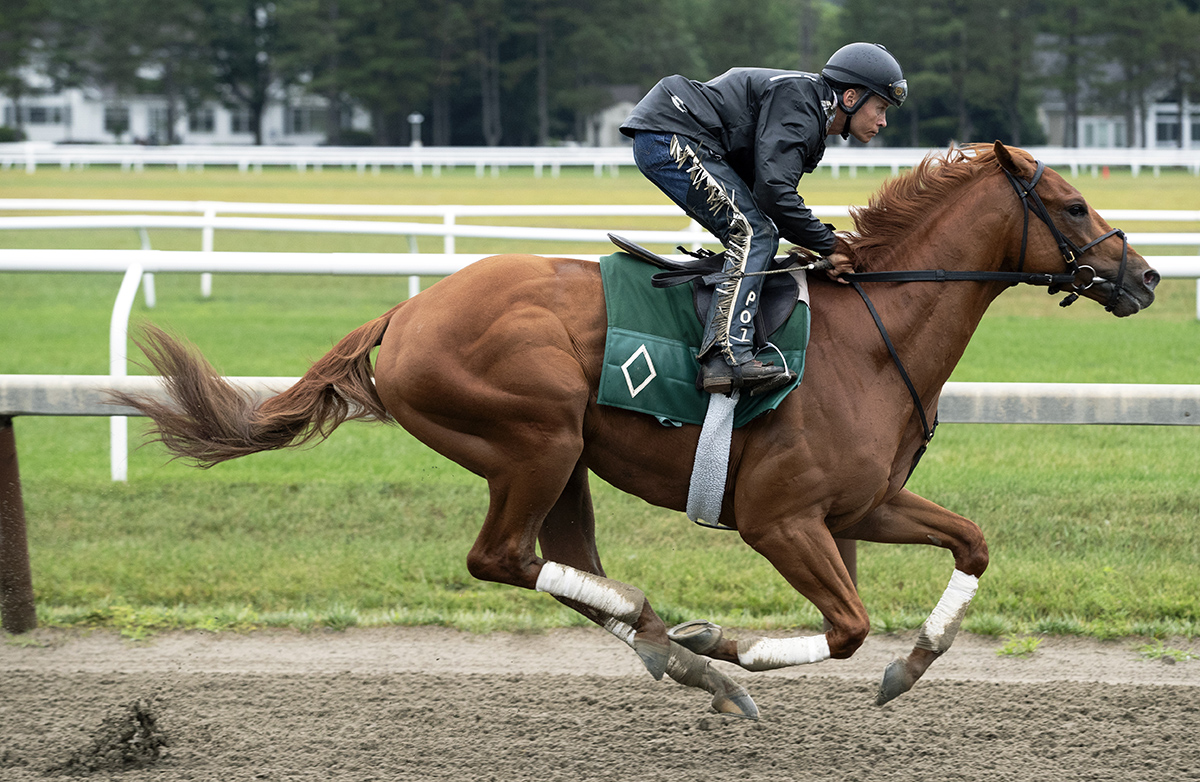 Hofburg trains at Saratoga on July 22