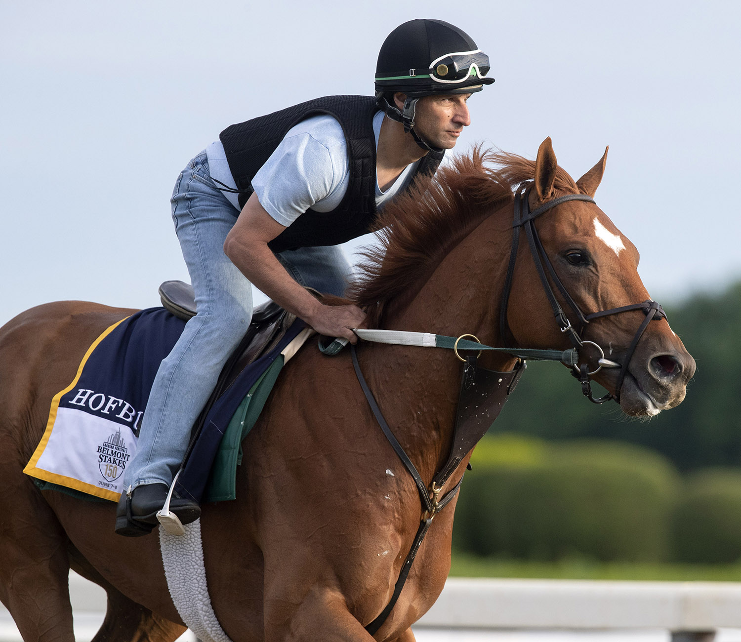 Hofburg trains at Belmont on June 6