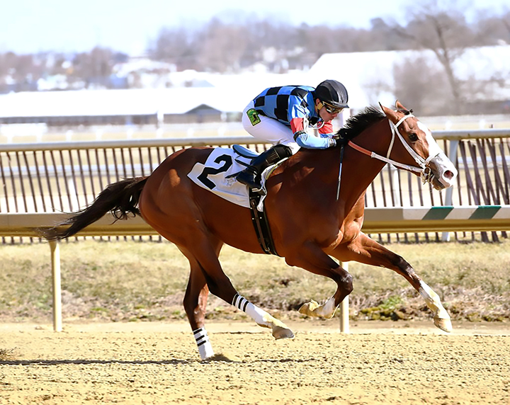 Hoffa's Union wins a Feb. 28 maiden race