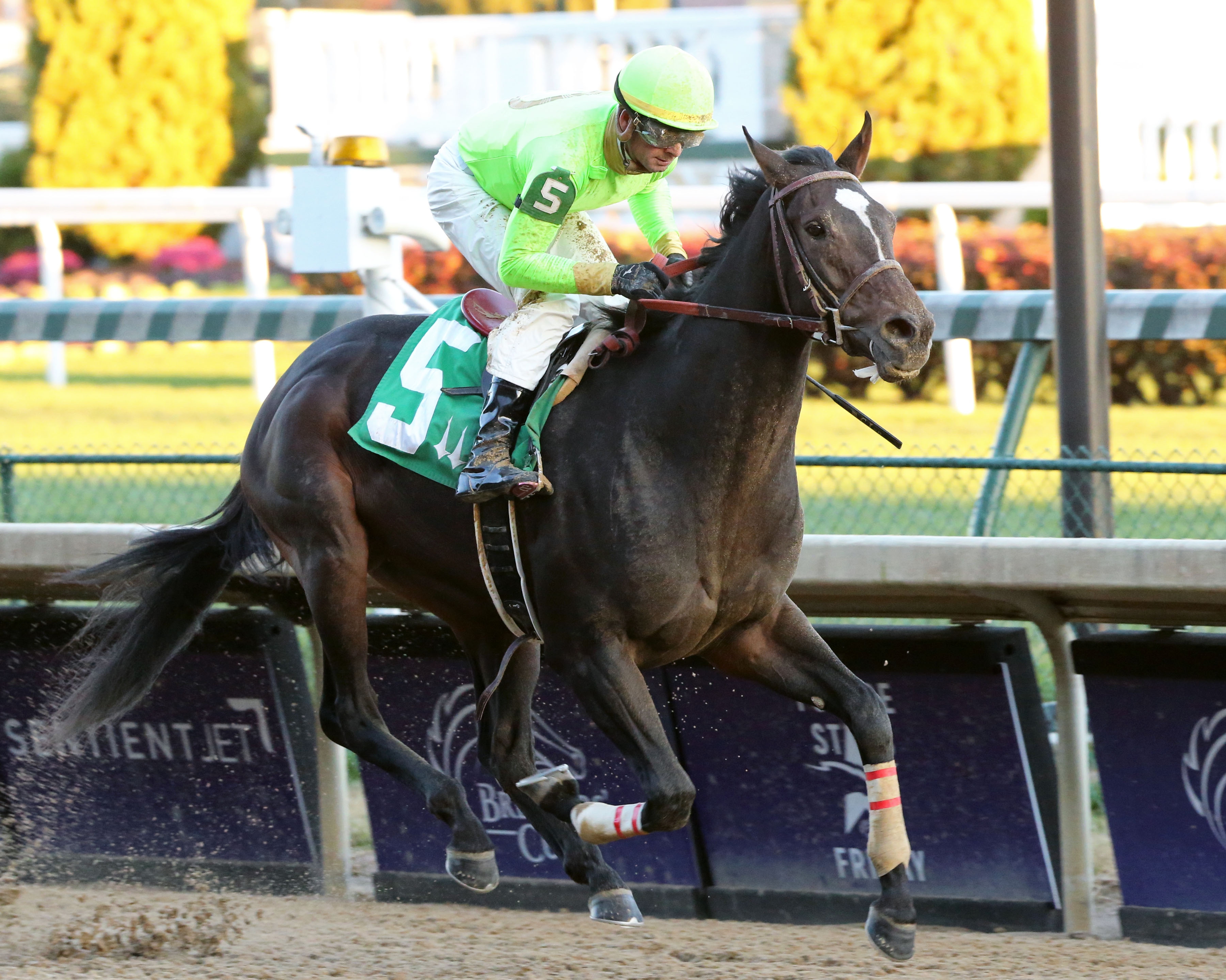 Hog Creek Hustle wins a Churchill Downs allowance on 11.10.18