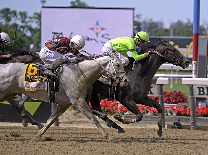 Hog Creek Hustle wins the 2019 Woody Stephens
