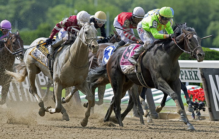 Hog Creek Hustle wins the 2019 Woody Stephens