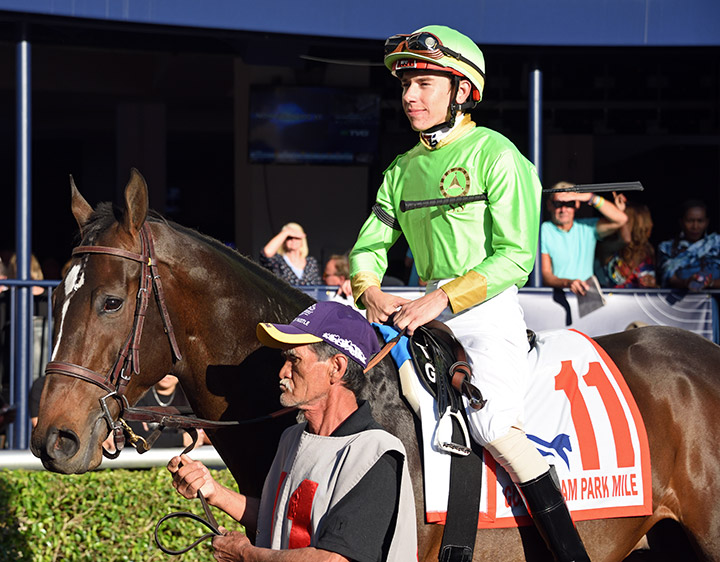 Hog Creek Hustle at Gulfstream Park in February 2020