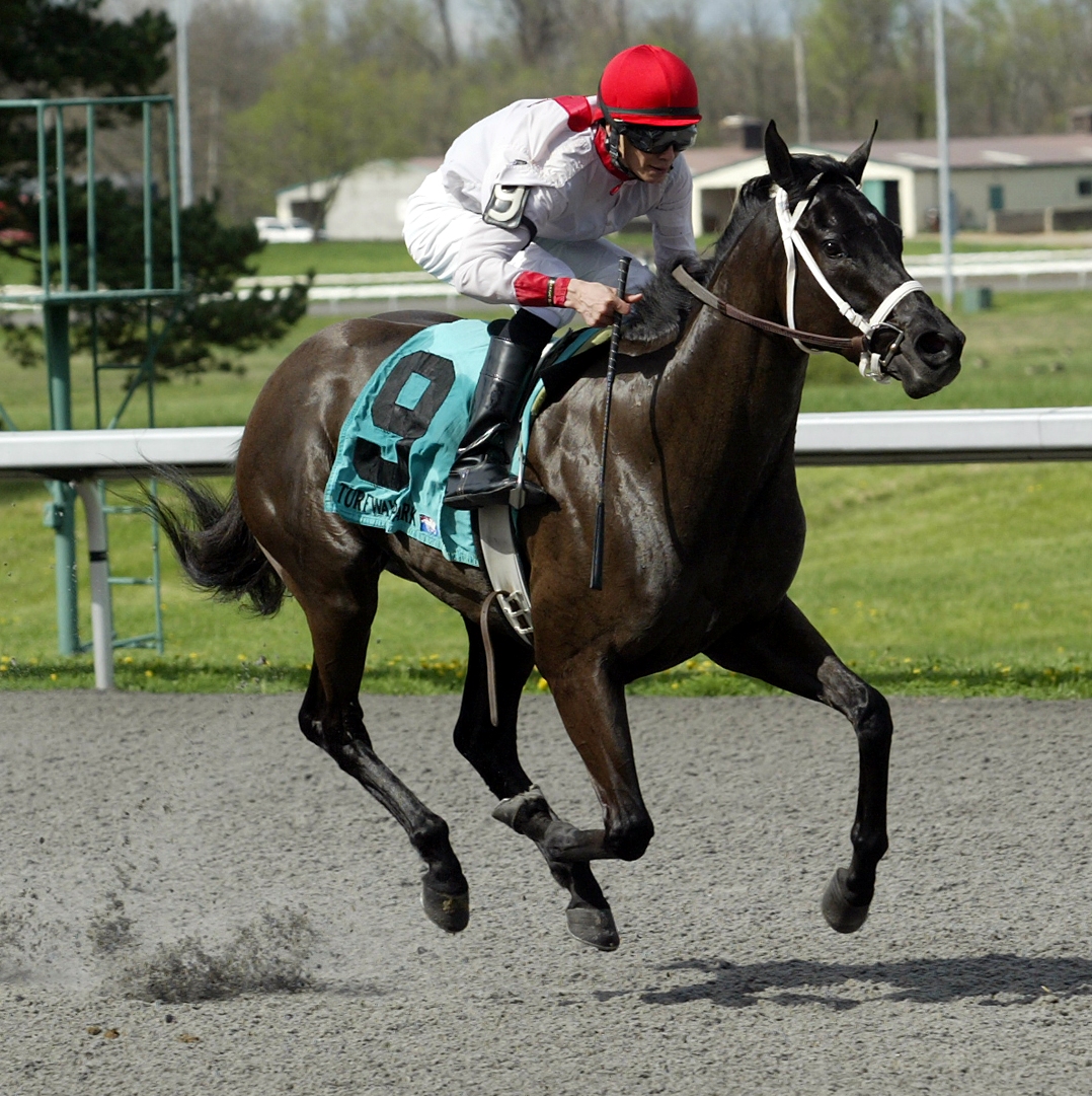 Hogy, Hansel Stakes
