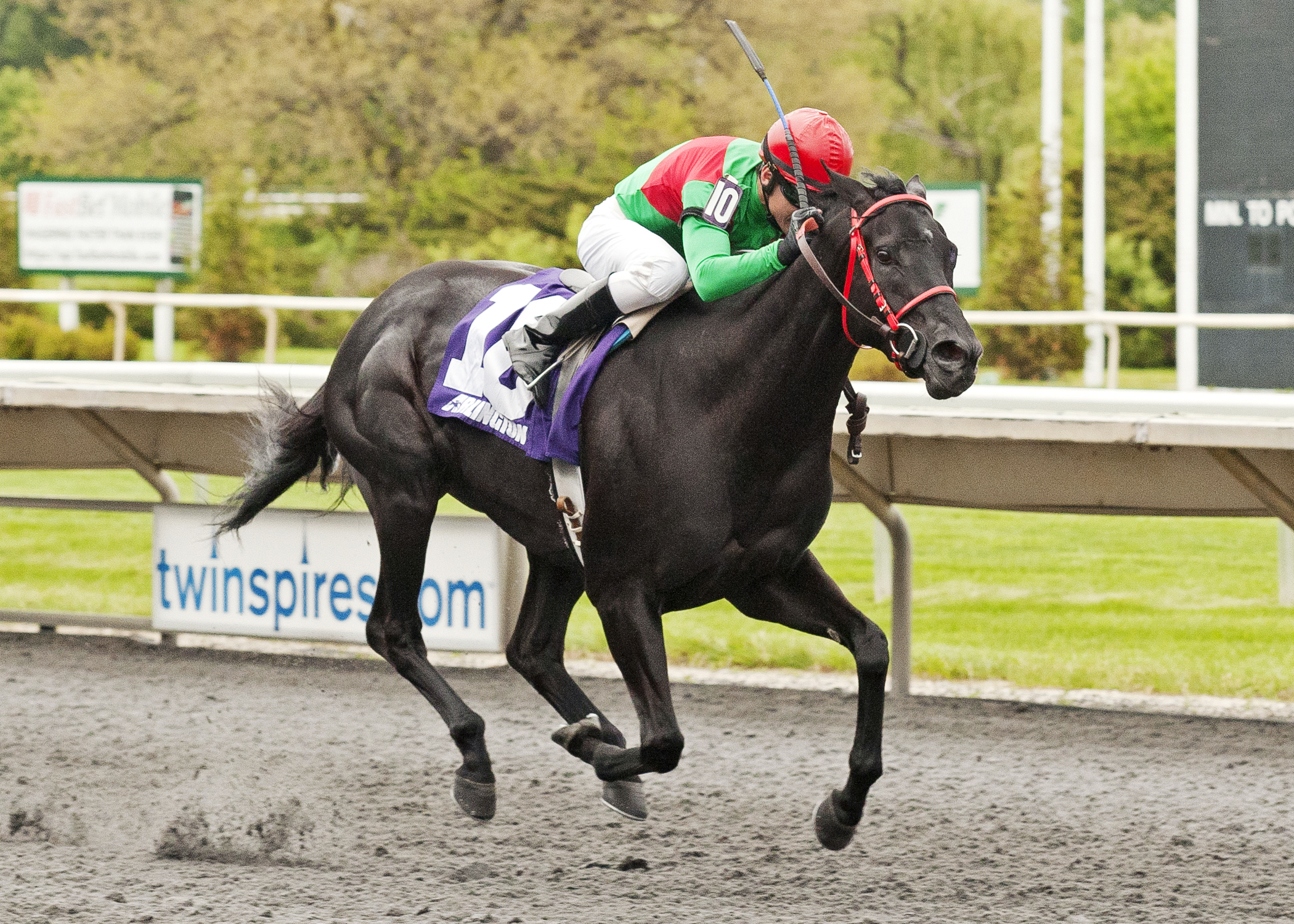 Hogy wins the 2013 Hanshin