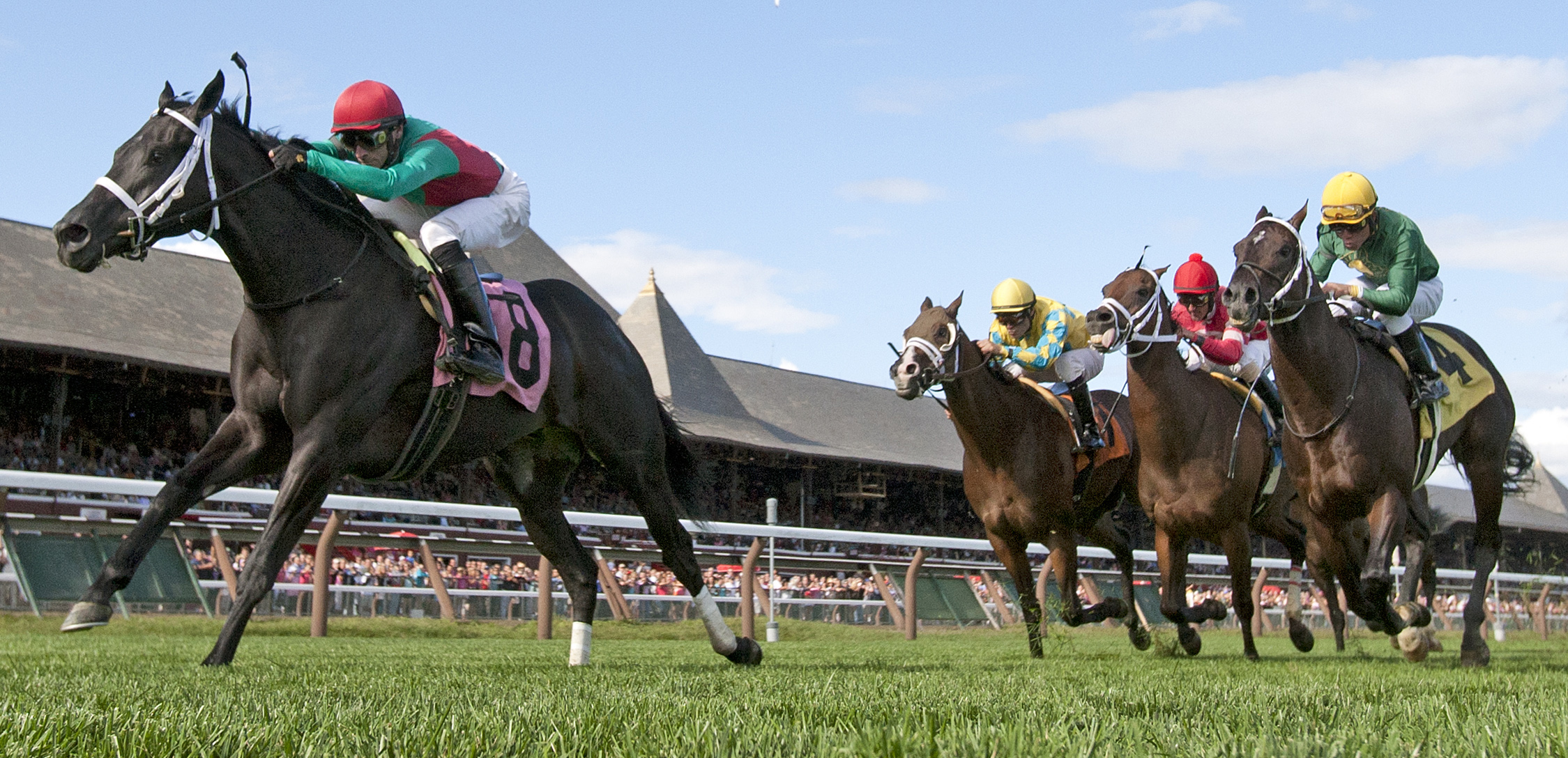 Hogy, Troy Stakes
