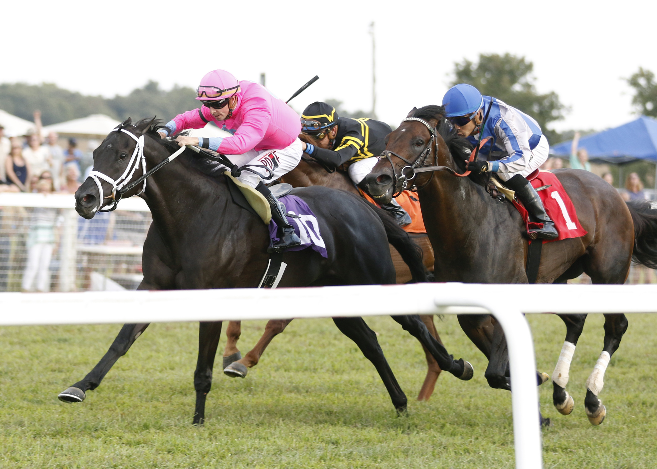 Hogy wins the 2017 Kentucky Downs Turf Sprint