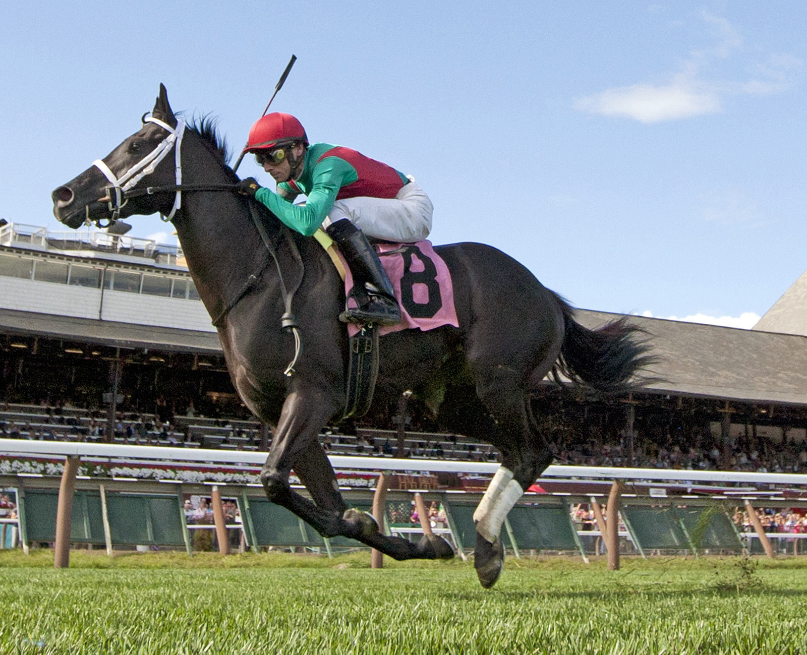 Hogy wins the 2013 Troy Stakes