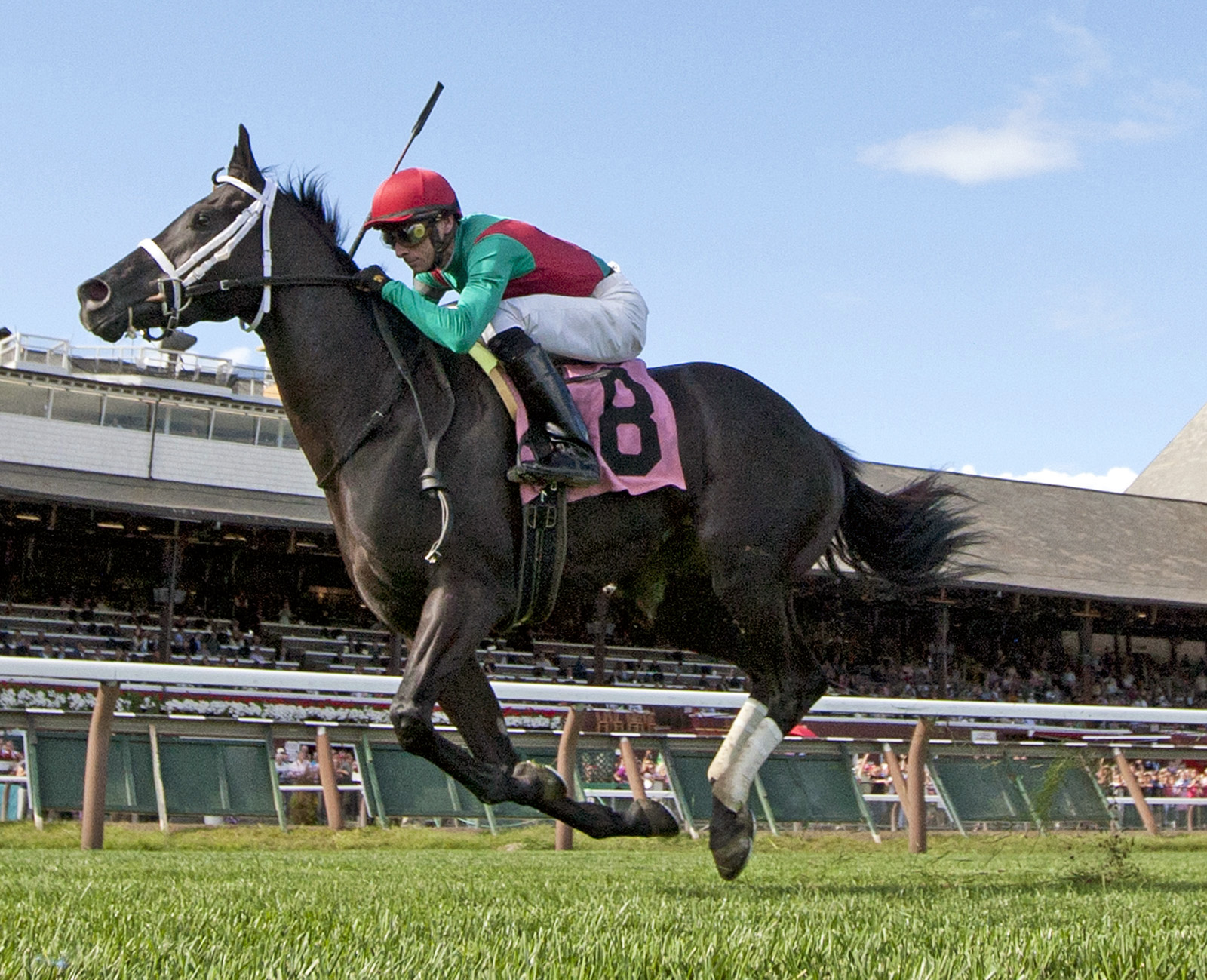 Hogy wins the 2013 Troy Stakes