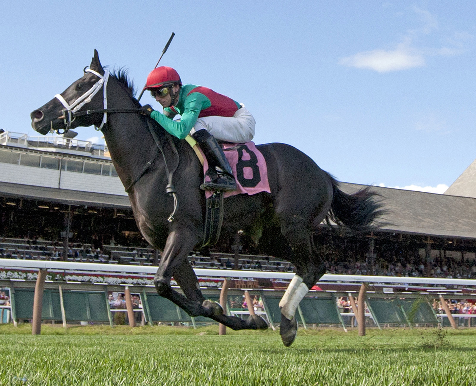 Hogy wins the 2013 Troy Stakes