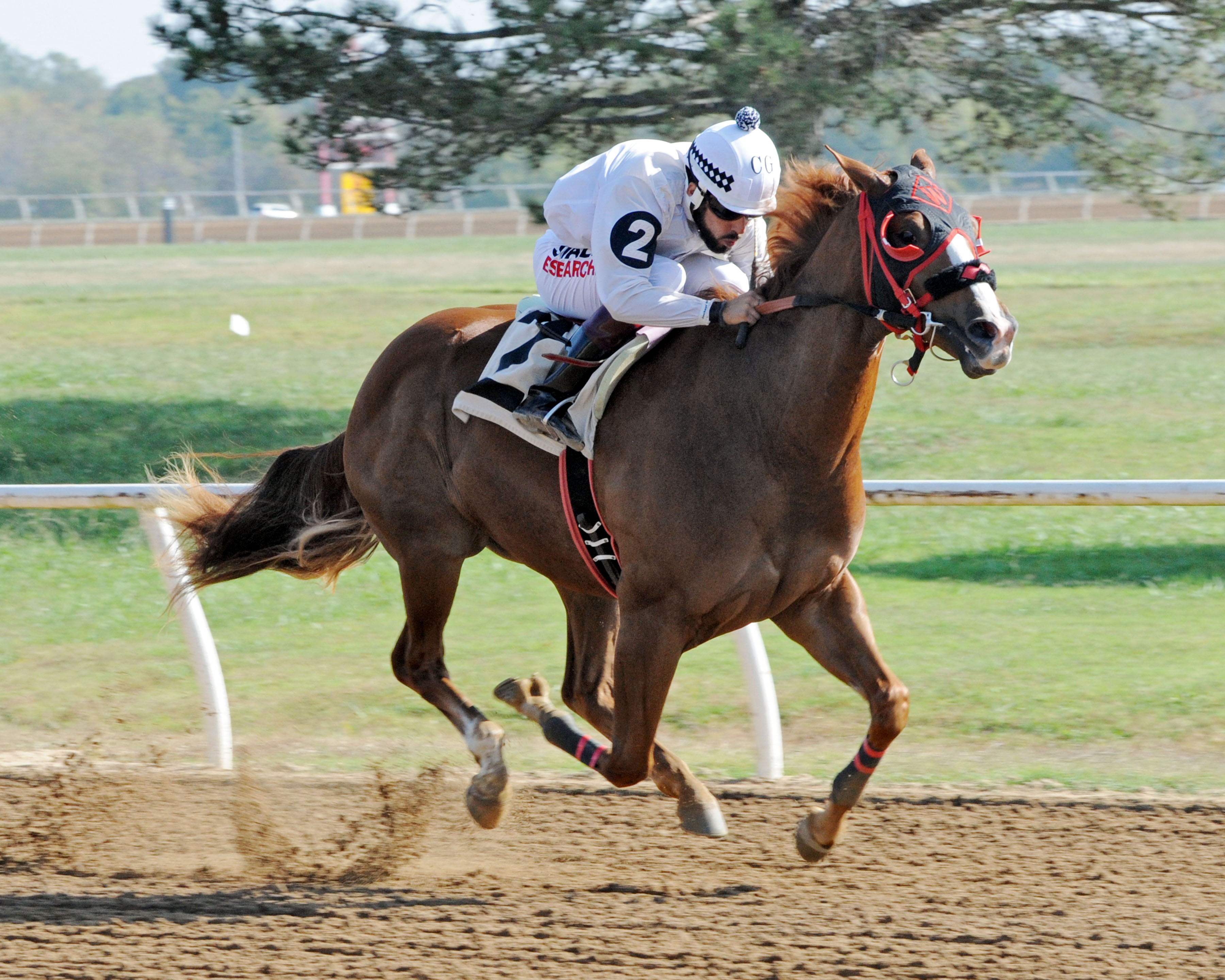 Hold Air Hostage wins a 2016 Oklahoma Horsemen's Association Mystery Futurity Trials