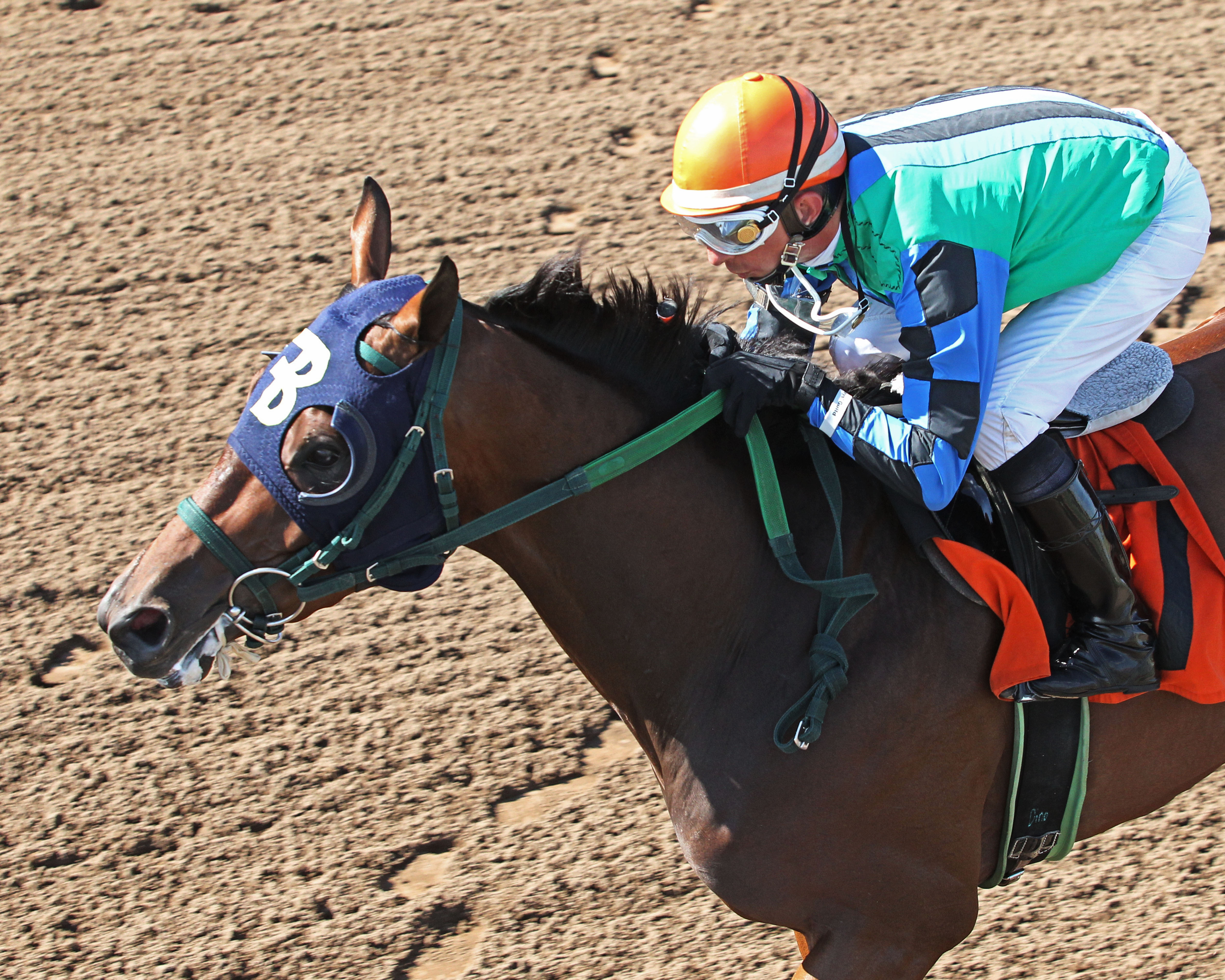 Hold for More wins the MTA Stallion Auction Stakes