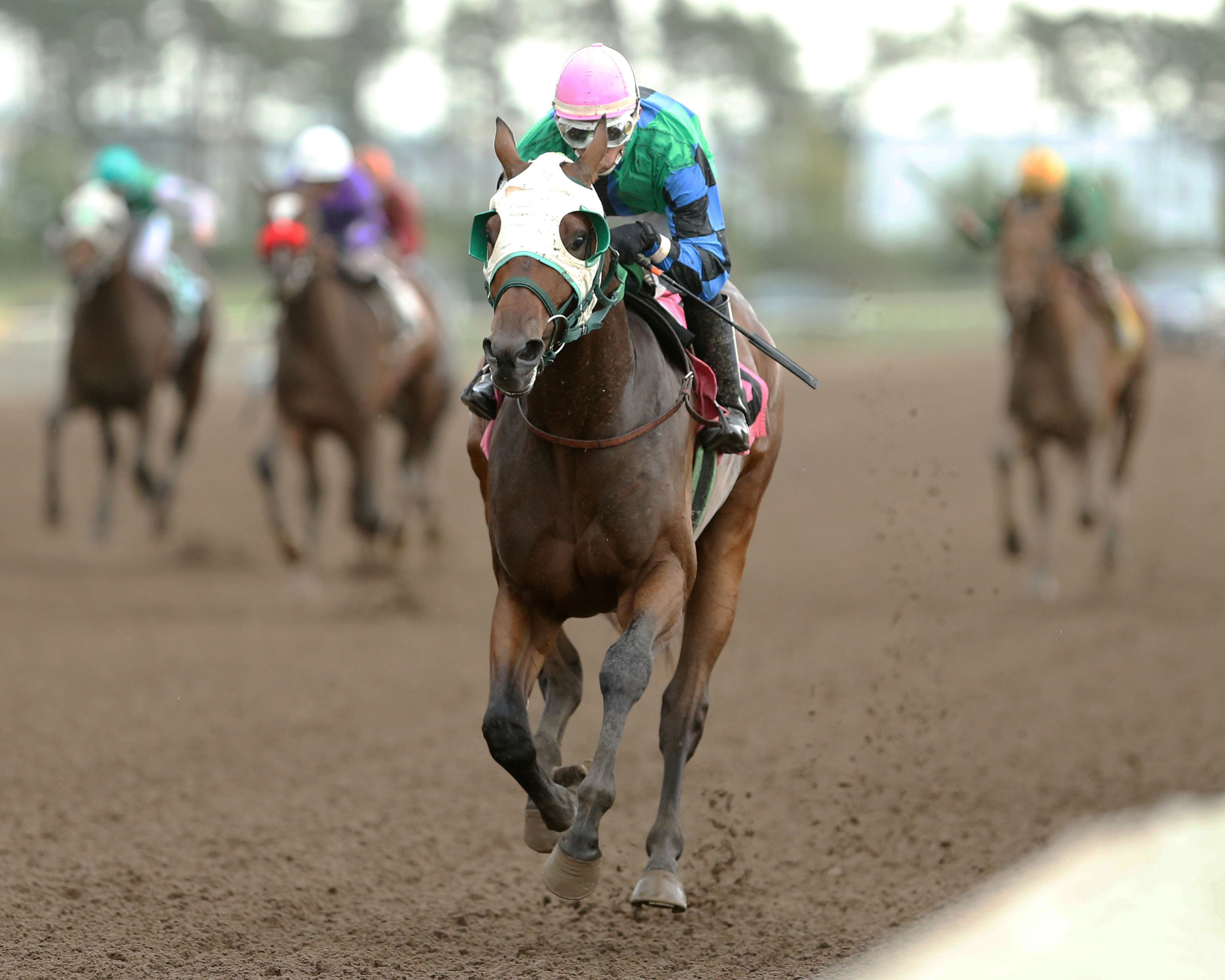 Hold For More wins the 2014 Northern Lights Futurity