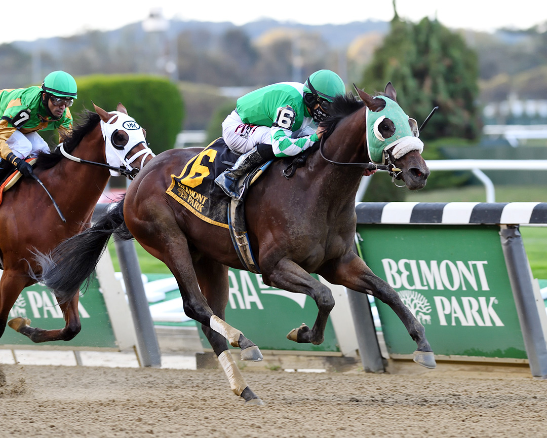 Hold the Salsa wins the 2020 Bertram F. Bongard Stakes at Belmont Park