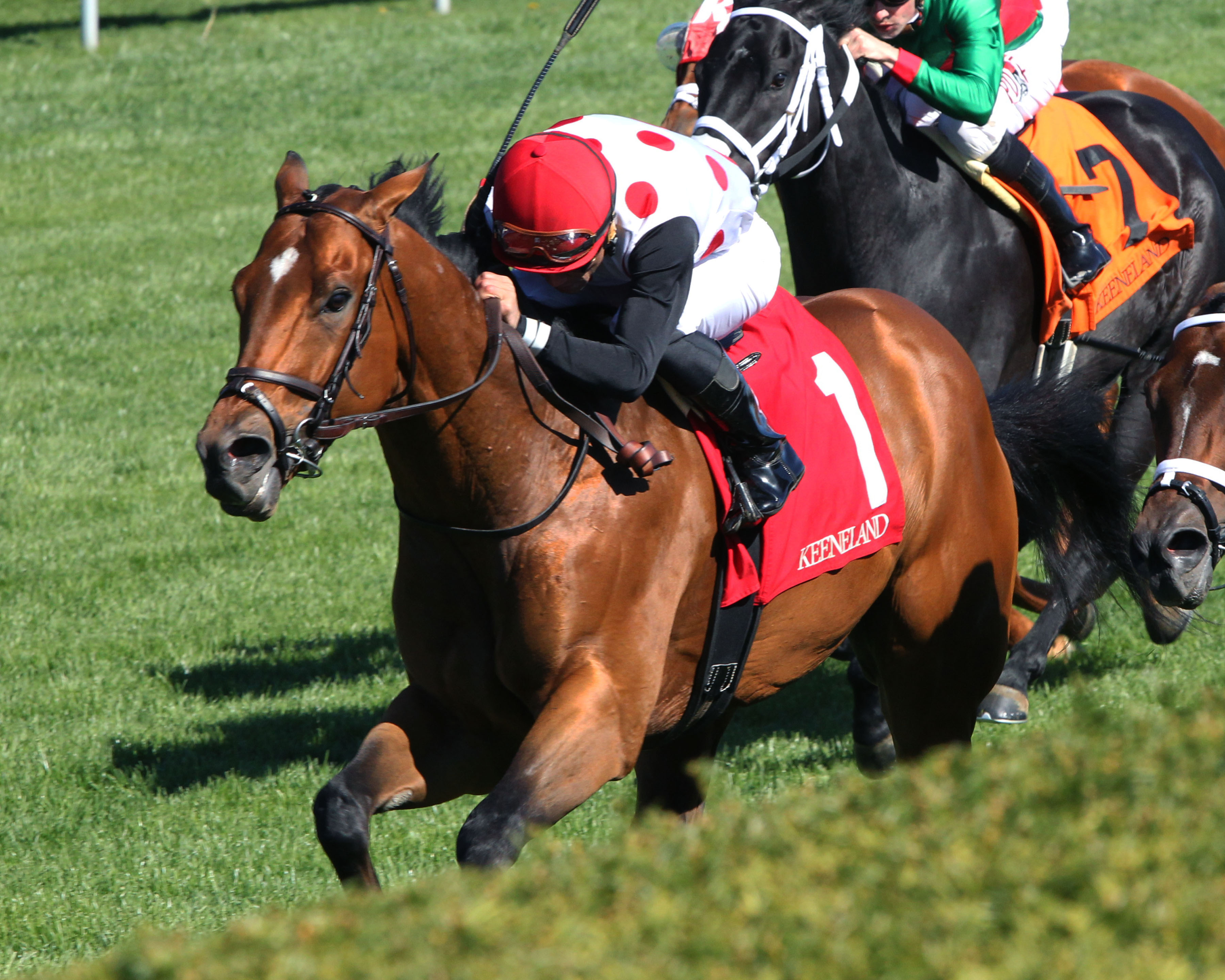 Holding Gold wins the 2017 Shakertown Stakes