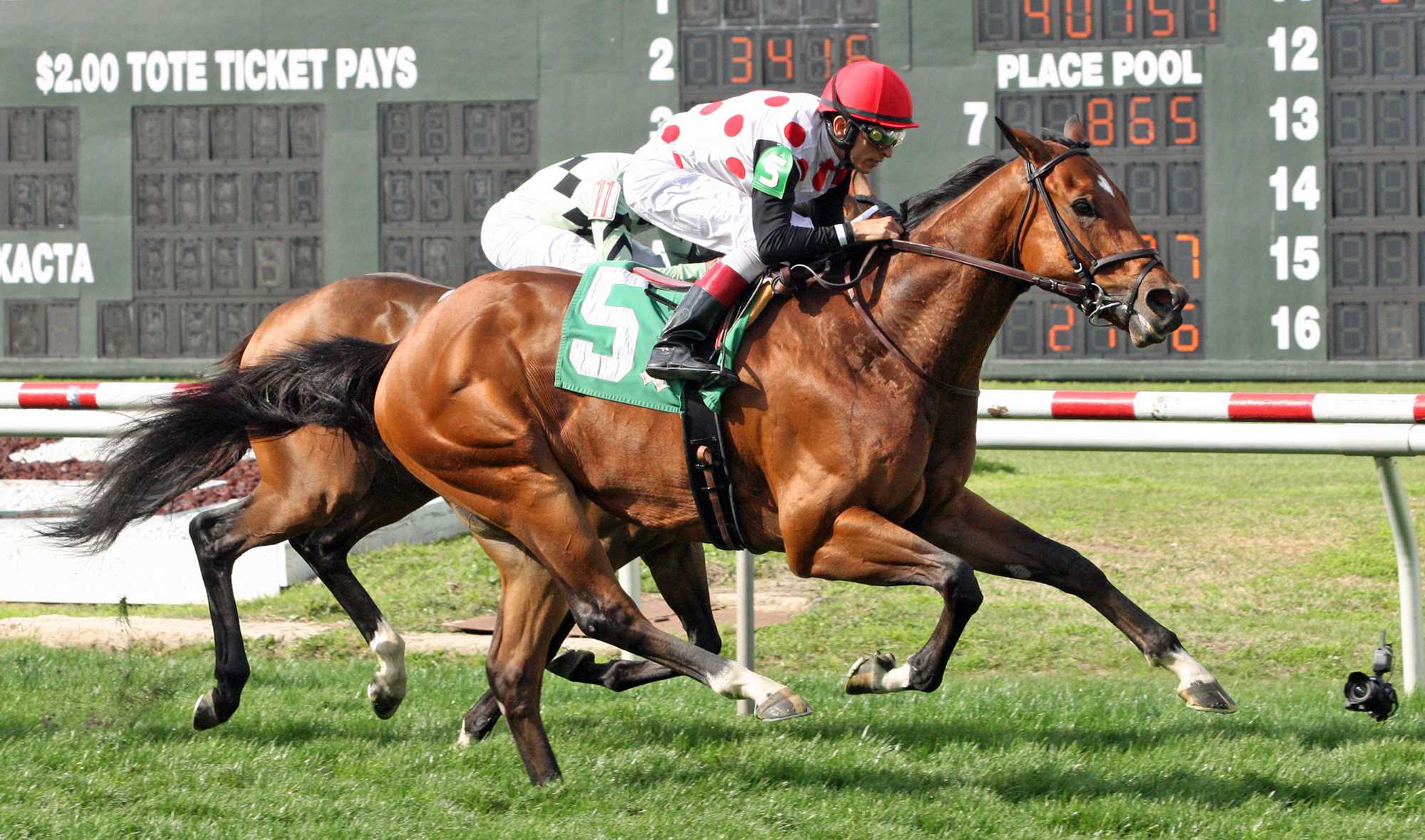 Holding Gold wins 2018 Colonel Power Stakes