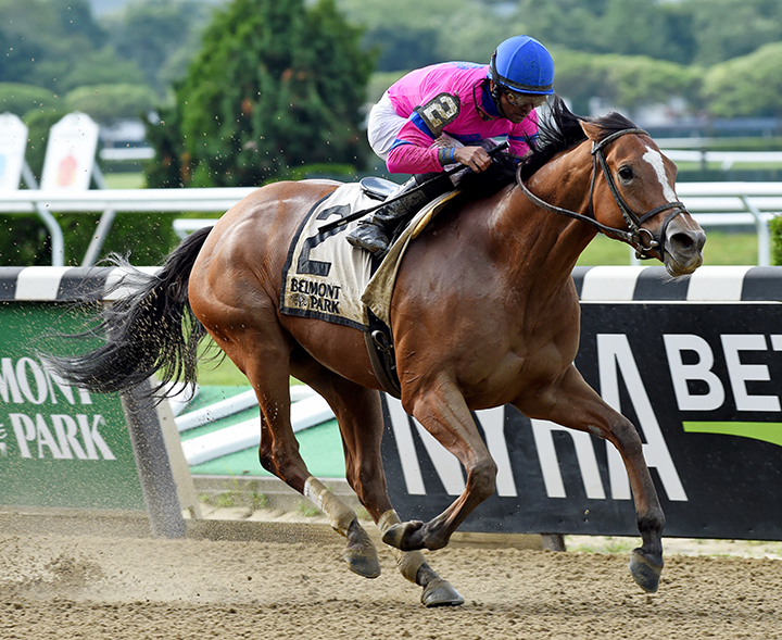 Holiday Disguise wins the 2019 Dancin Renee