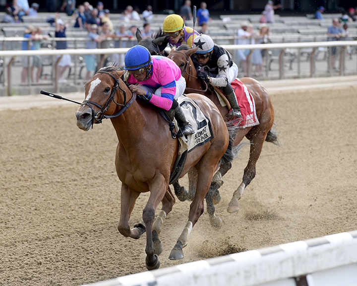 Holiday Disguise wins the 2019 Dancin Renee at Belmont Park