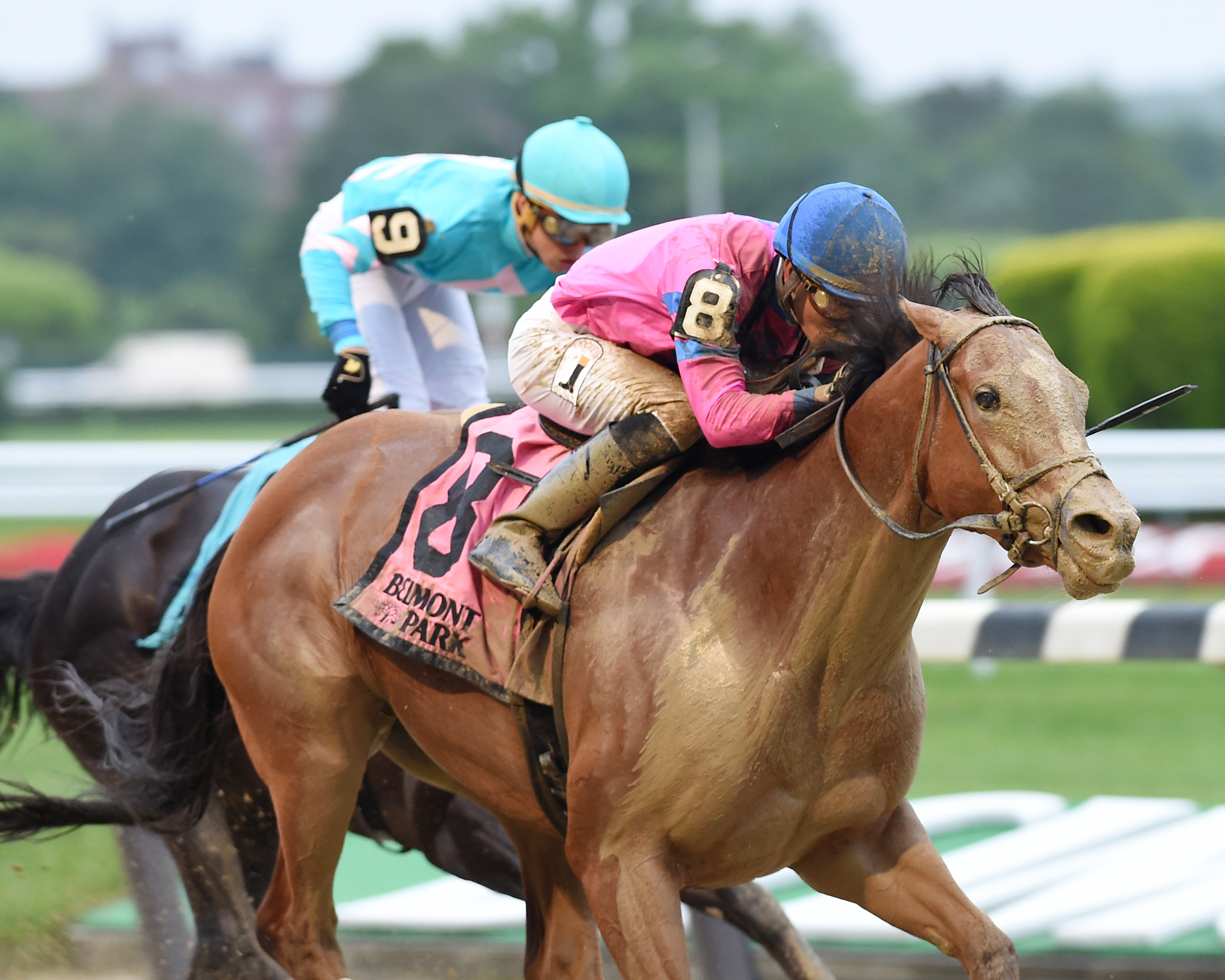 Holiday Disguise wins the Bouwerie Stakes