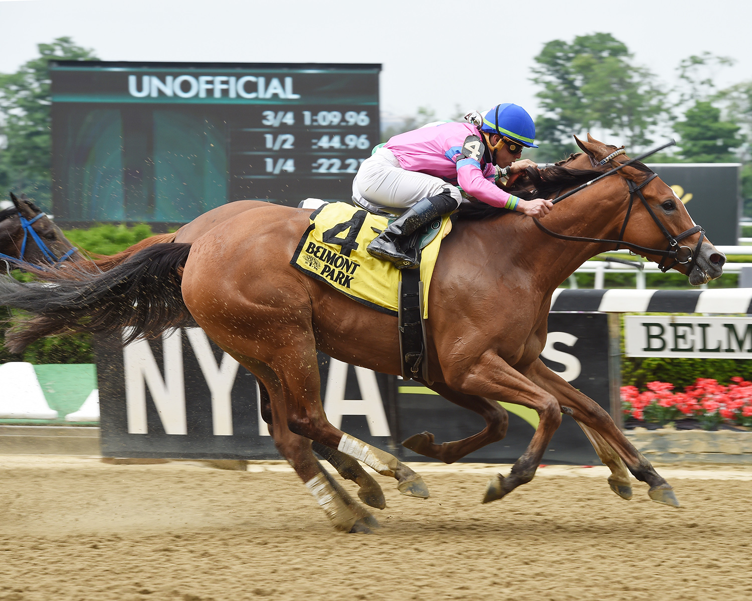 Holiday Disguise wins the Critical Eye Stakes