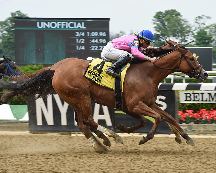 Holiday Disguise wins the Critical Eye Stakes