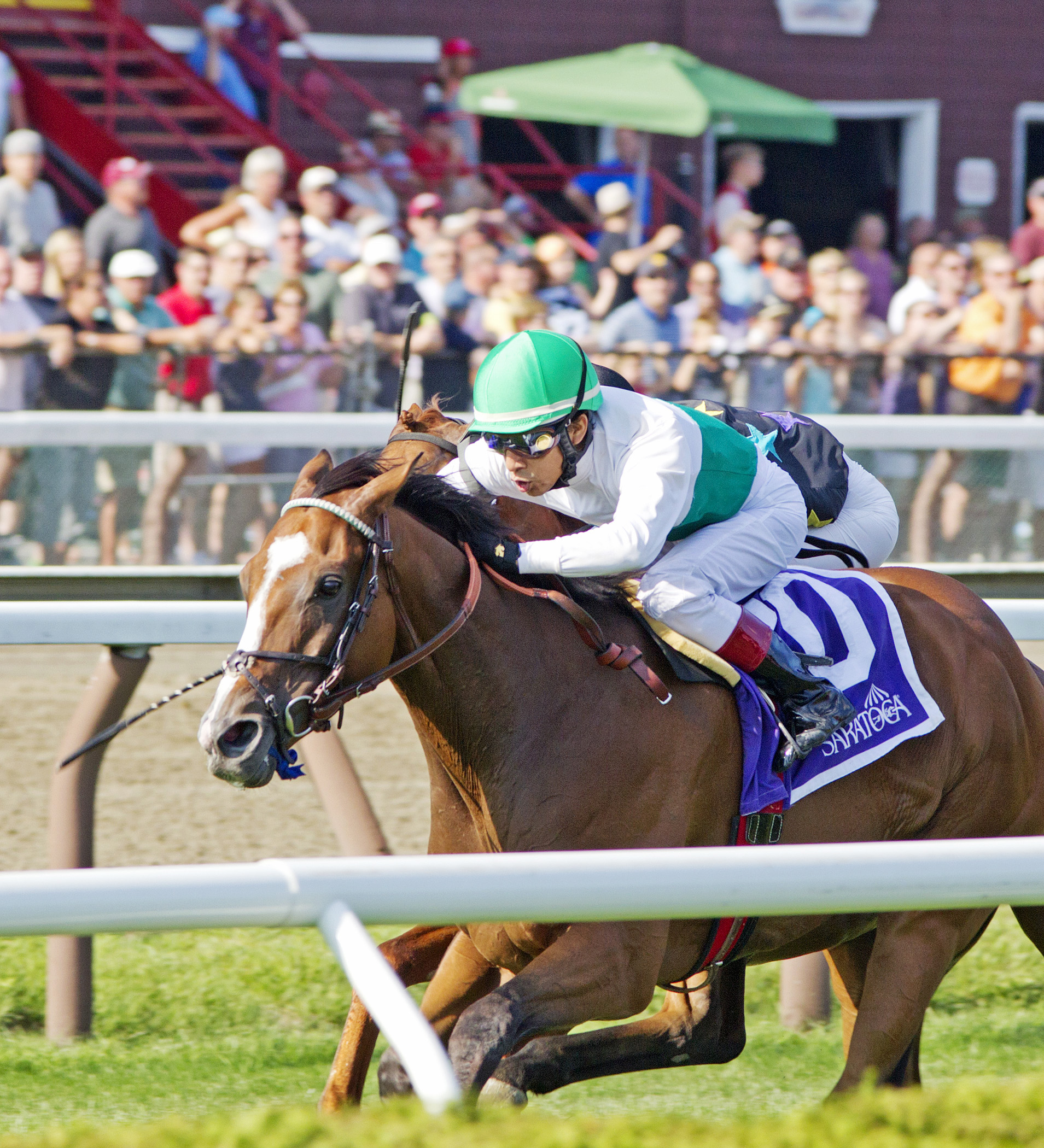 Holiday Star finishes second in the John's Call Stakes
