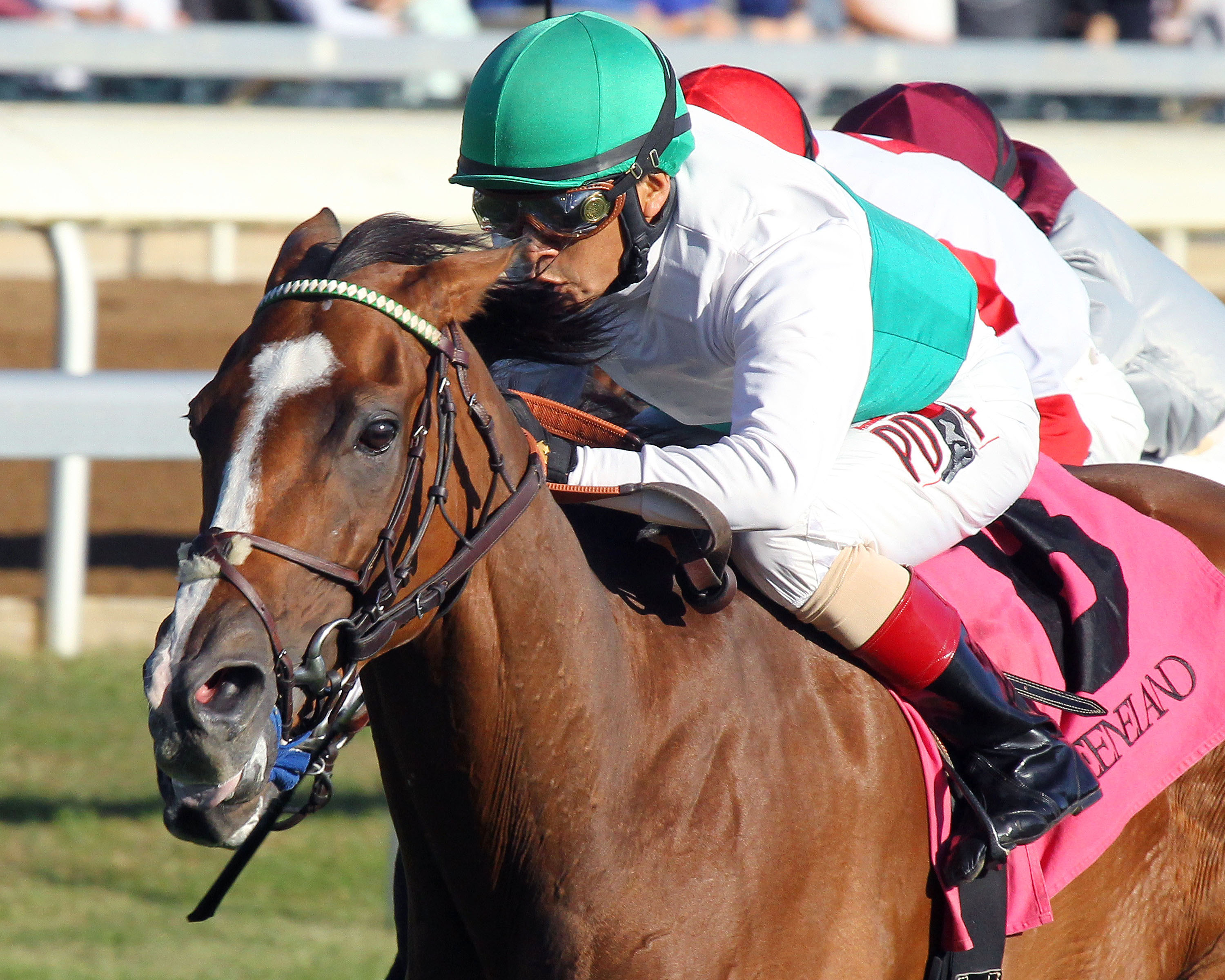 Holiday Star wins the Sycamore