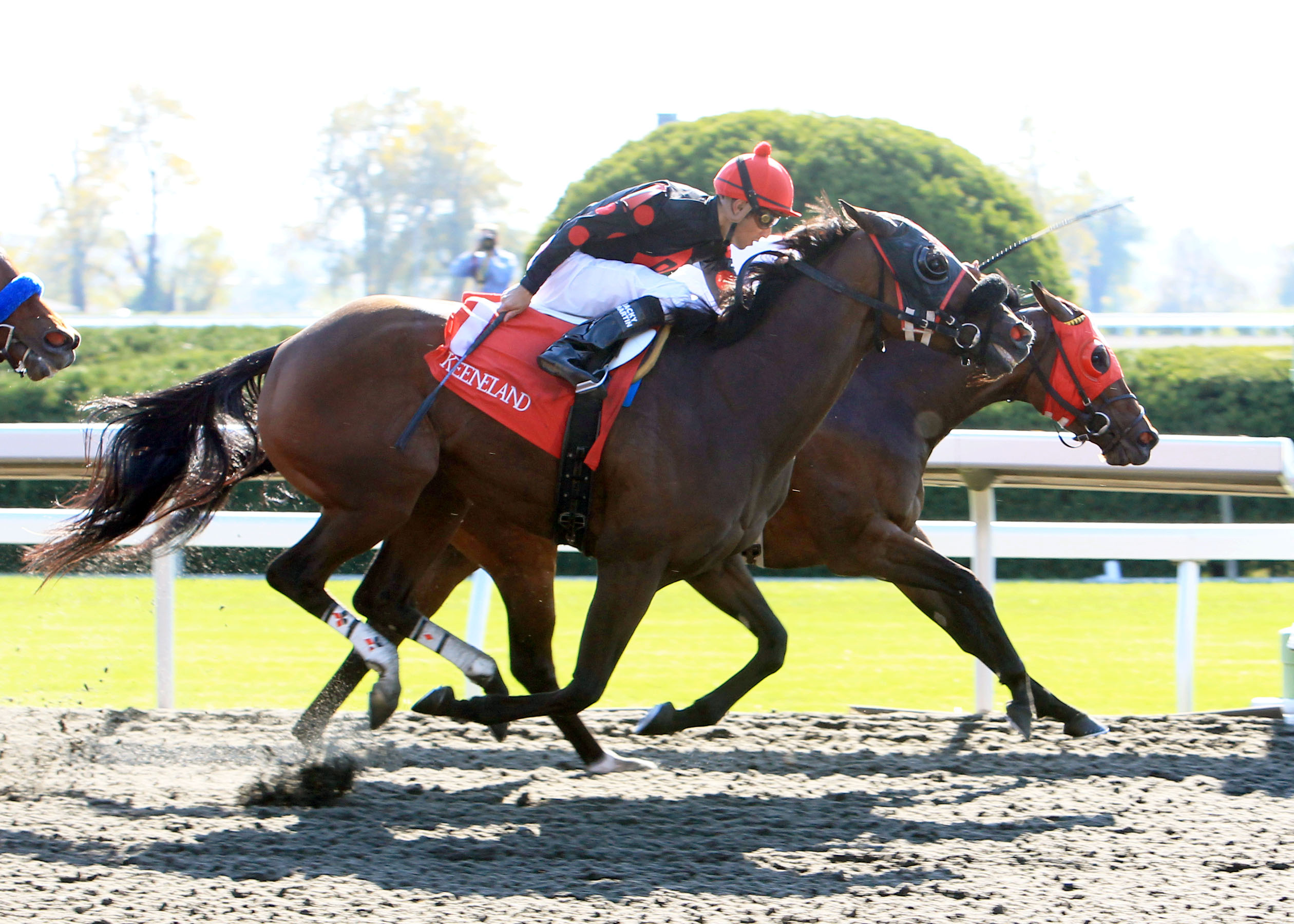 Musical Romance/TCA Stakes (second)