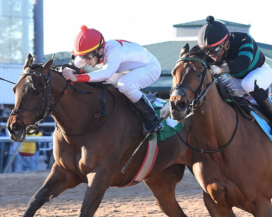 Hollis (right) and Sky Ride dead heat in Stonerside Sprint Stakes at Sam Houston