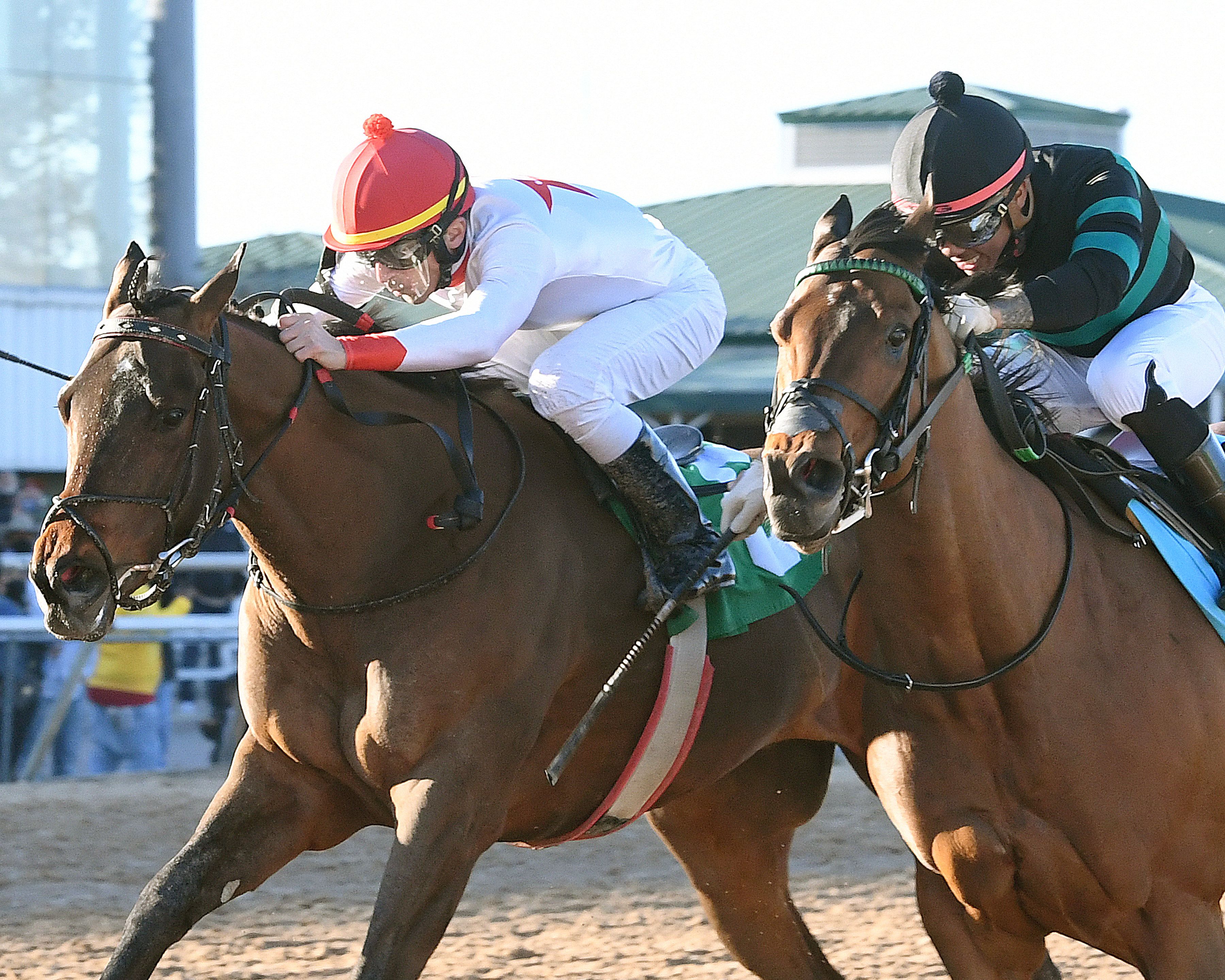 Hollis (right) dead heats with Sky Ride in the 2021 Stonerside Sprint at Sam Houston