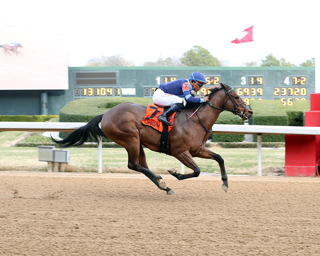 Hollis wins a Feb. 20 allowance race at Oaklawn