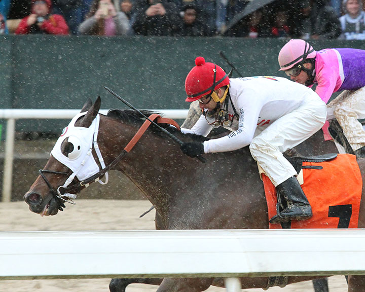 Hollywood Critic wins an optional claimer on April 13