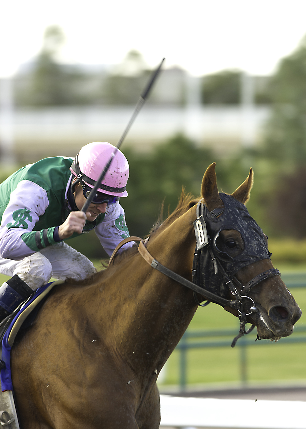Hollywood Dreams/Red Dial Express Handicap