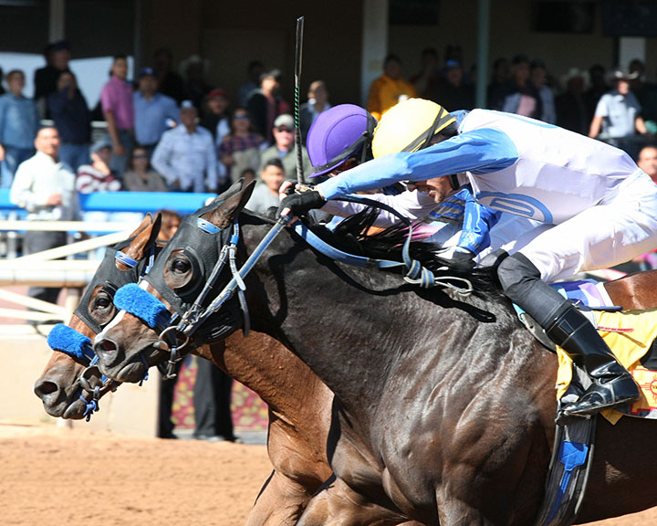 Hollywood Henry finishes second in the 2017 New Mexico Classic Cup Juvenile Championship Stakes