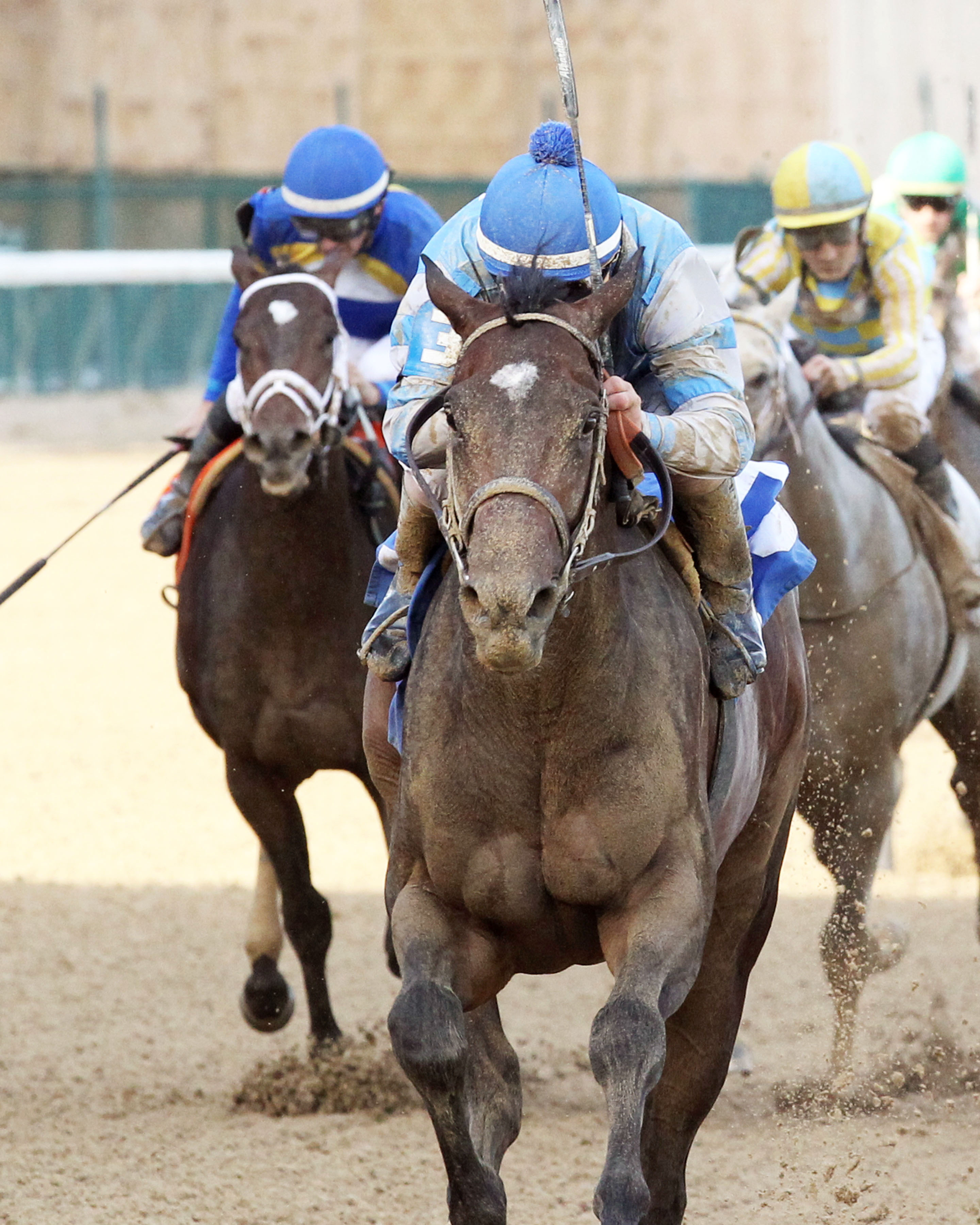 Hollywood Star wins a June 28 maiden race