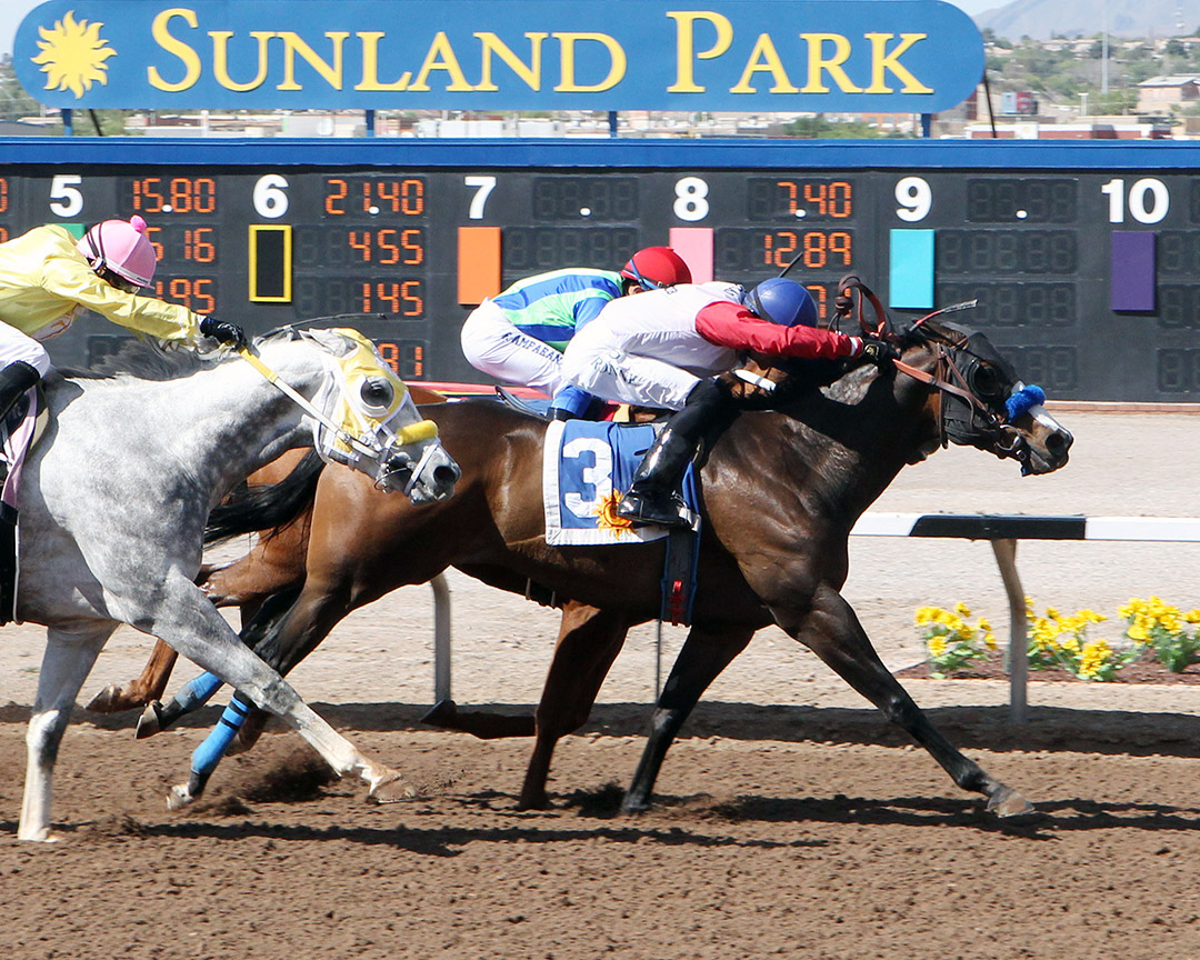 Hollywood Henry wins the 2020 Mt Cristo Rey Handicap at Sunland Park