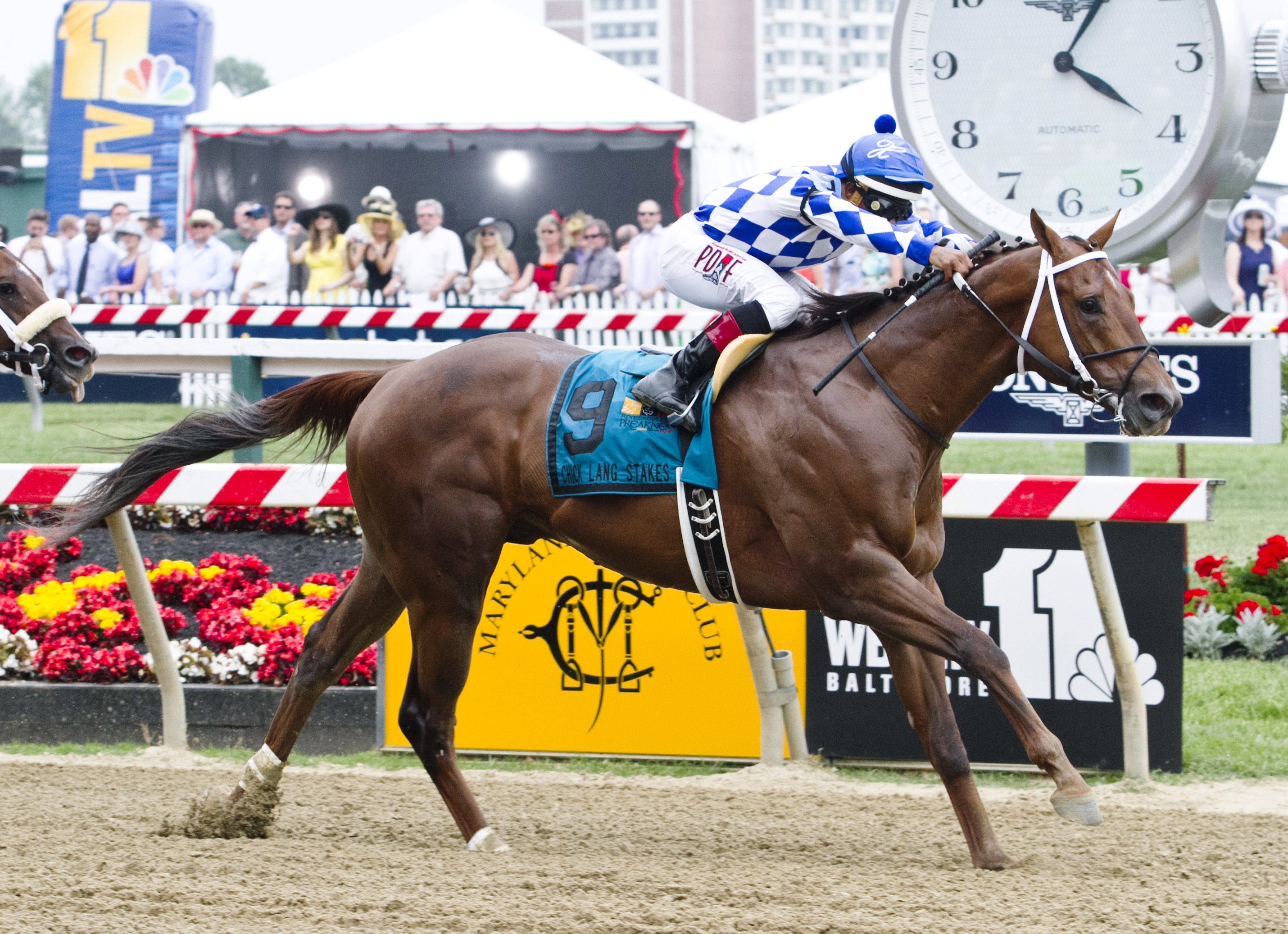 Holy Boss wins the Chick Lang