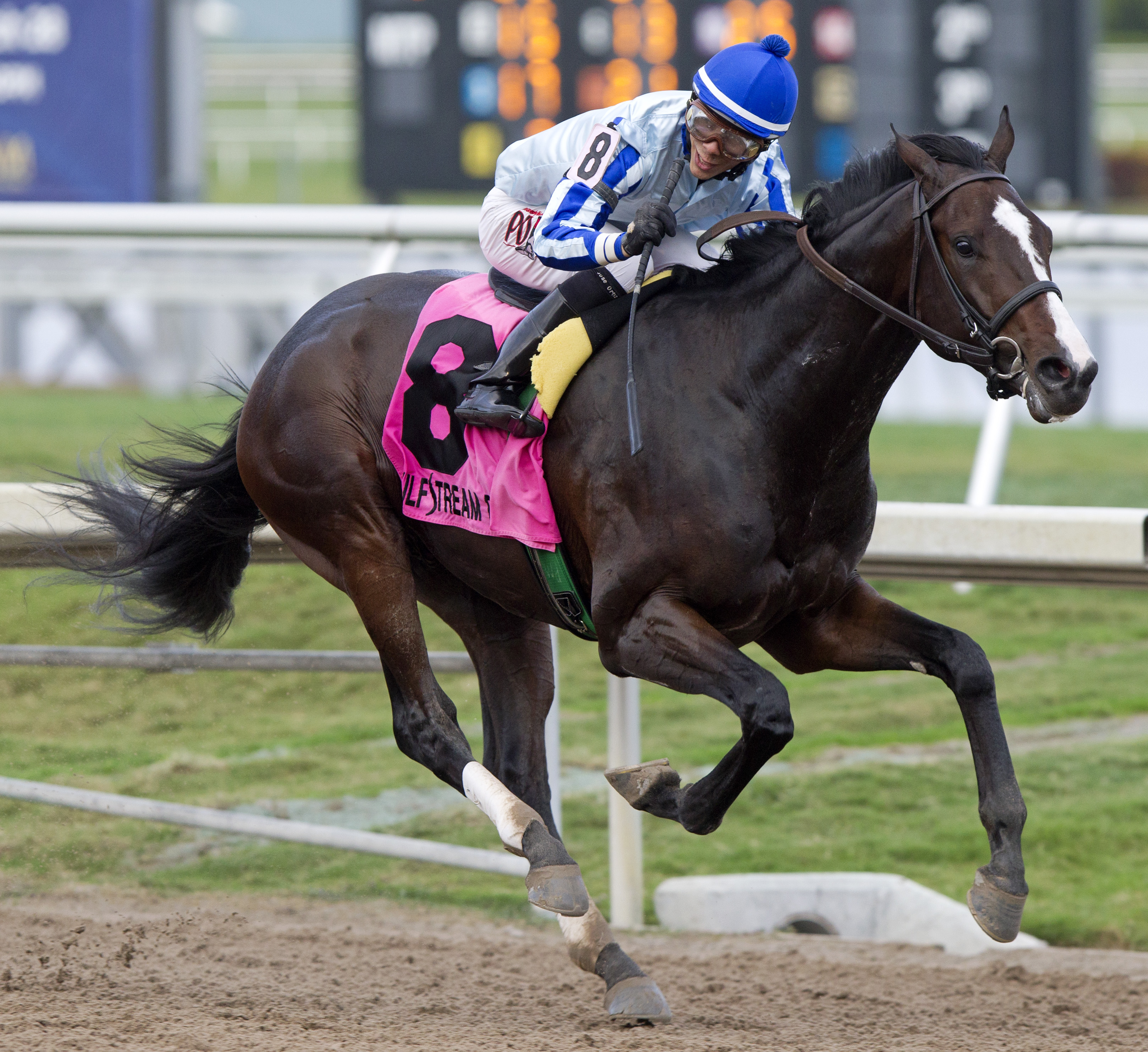 Upstart wins 2015 Holy Bull
