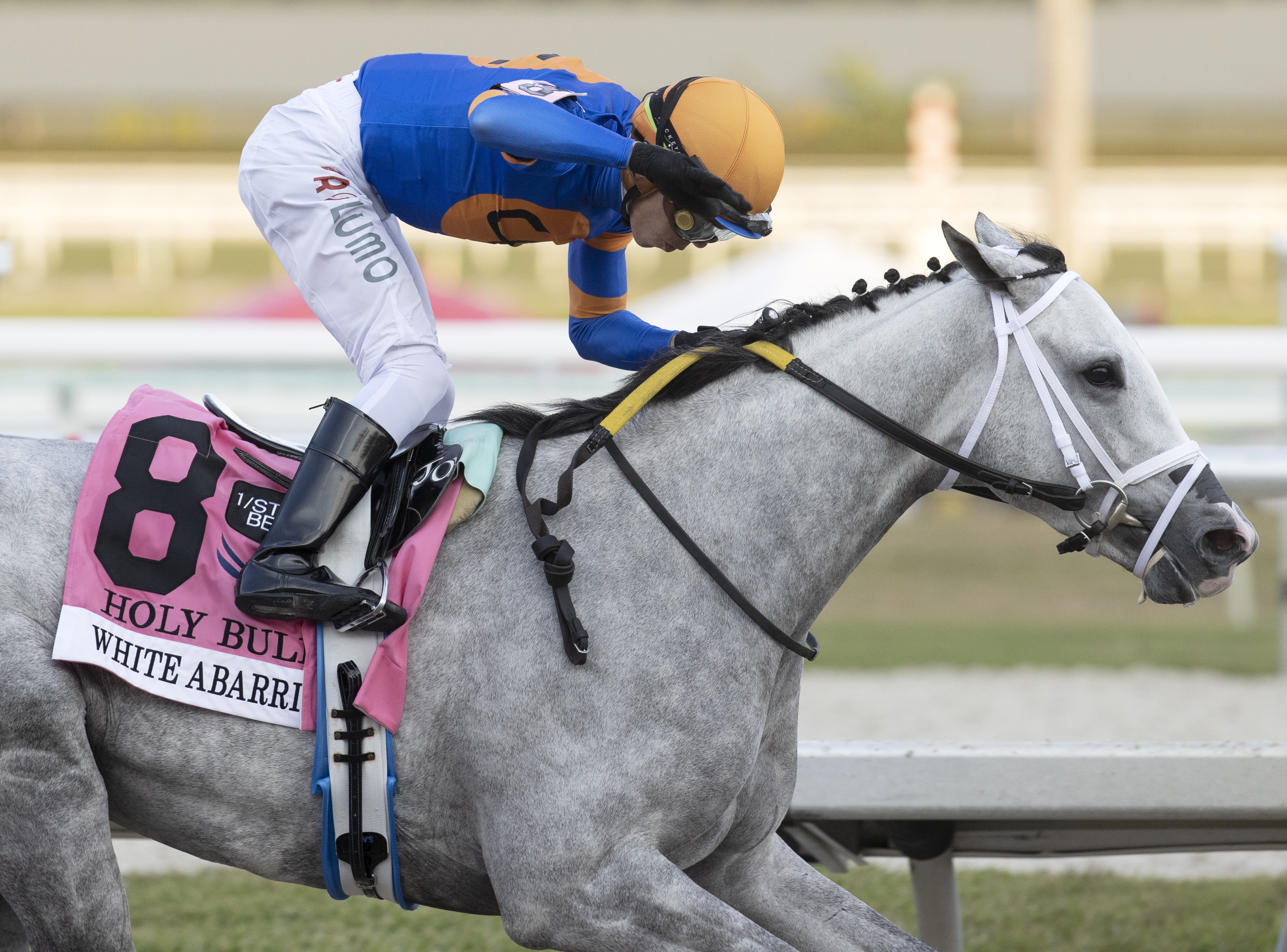 White Abarrio wins Holy Bull 2-5-2022